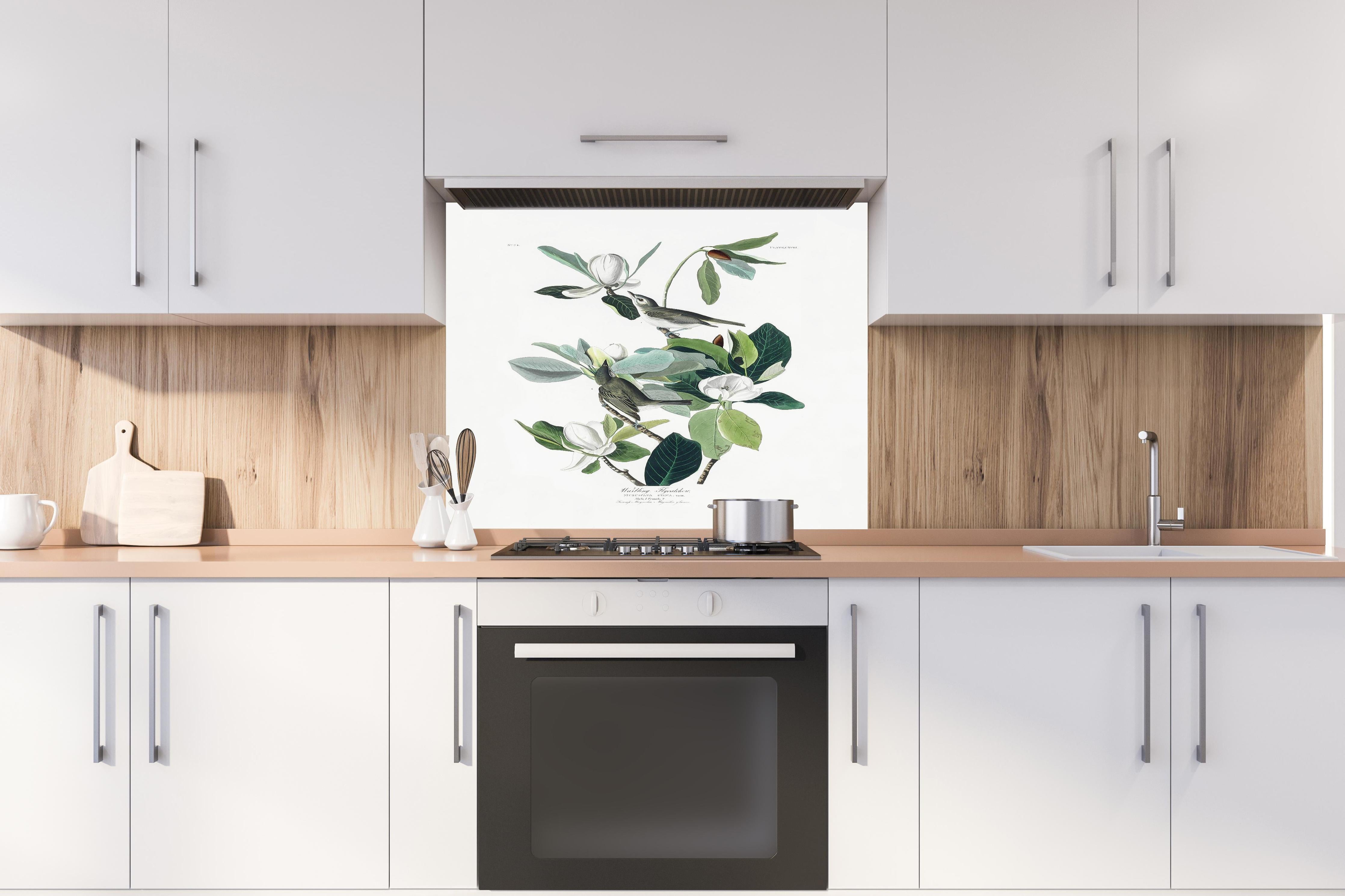 Spritzschutz - Vogel Gemälde - John James Audubon hinter einem Cerankochfeld zwischen Holz-Kochutensilien