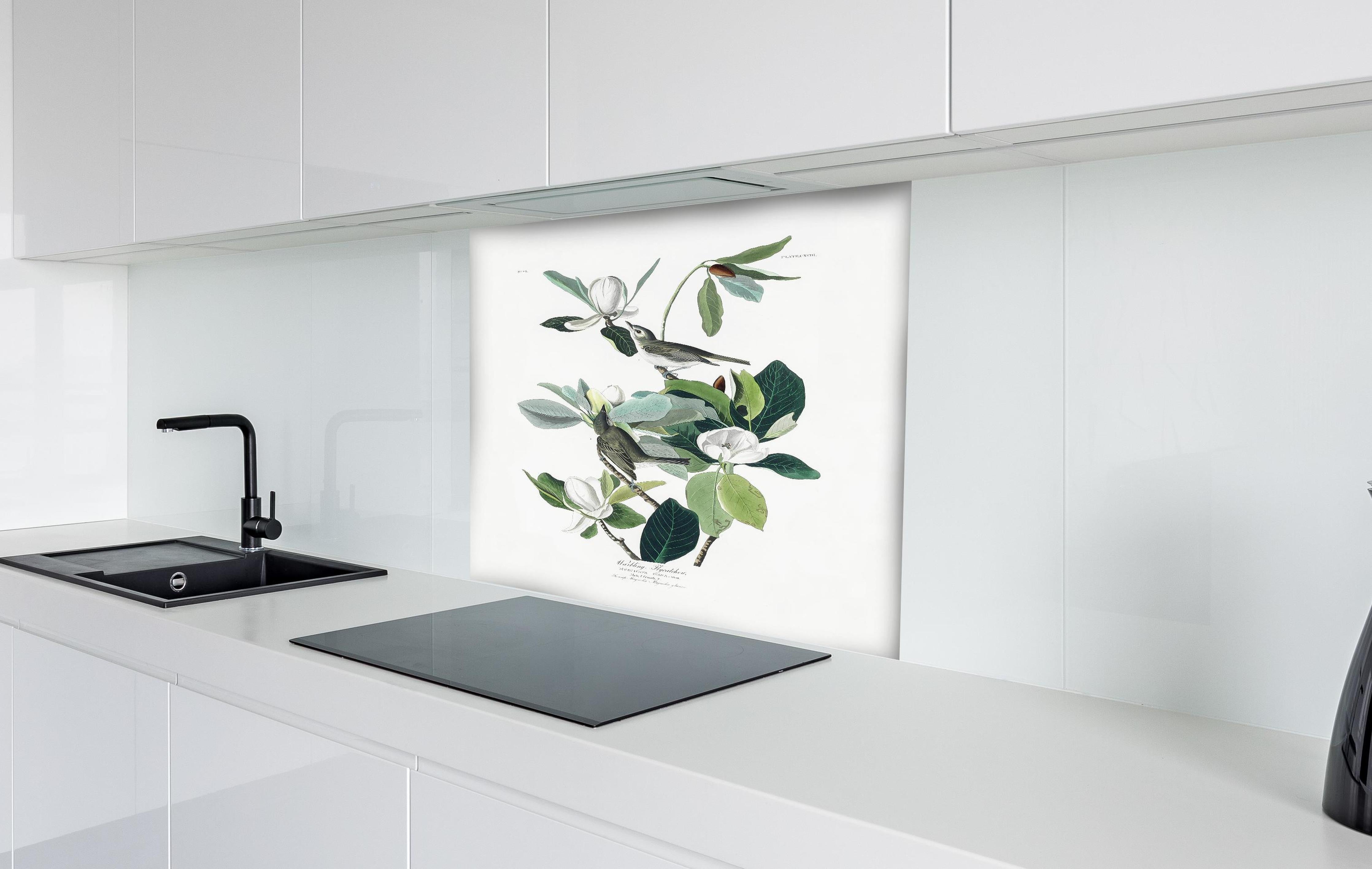 Spritzschutz - Vogel Gemälde - John James Audubon hinter einem Cerankochfeld zwischen Holz-Kochutensilien