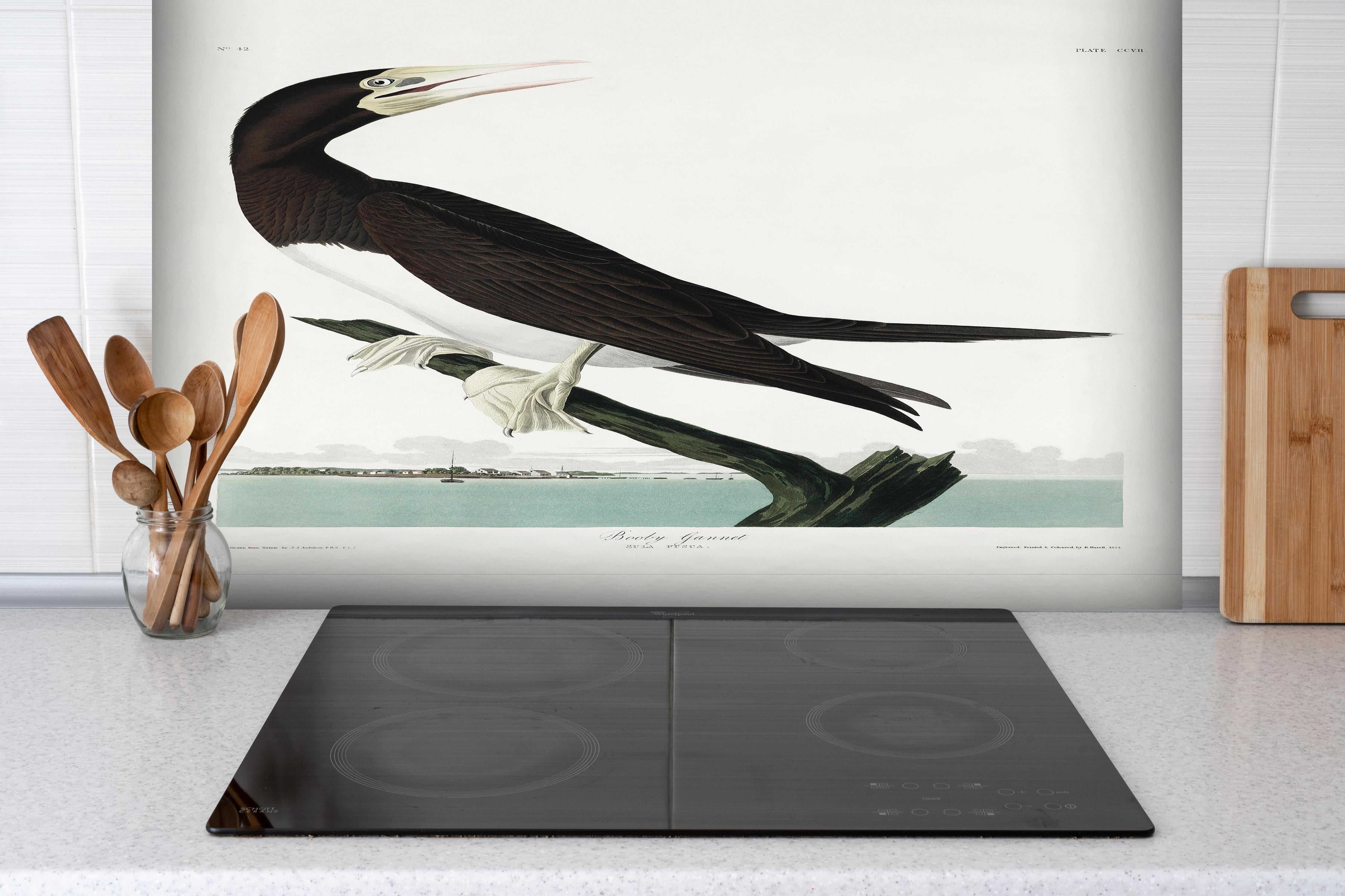 Spritzschutz - Vogel Portrait - Robert Havel hinter einem Cerankochfeld zwischen Holz-Kochutensilien