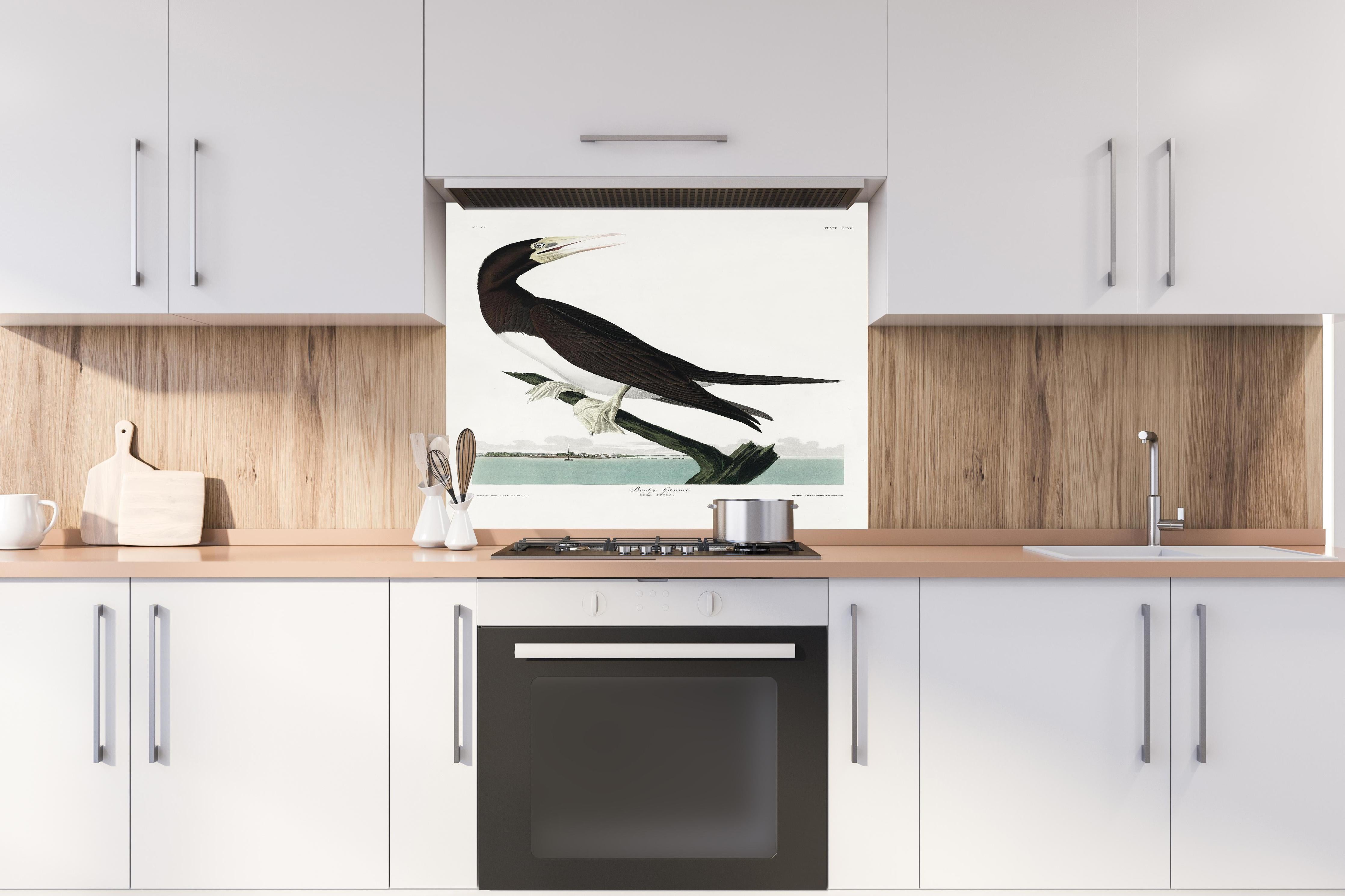 Spritzschutz - Vogel Portrait - Robert Havel hinter einem Cerankochfeld zwischen Holz-Kochutensilien