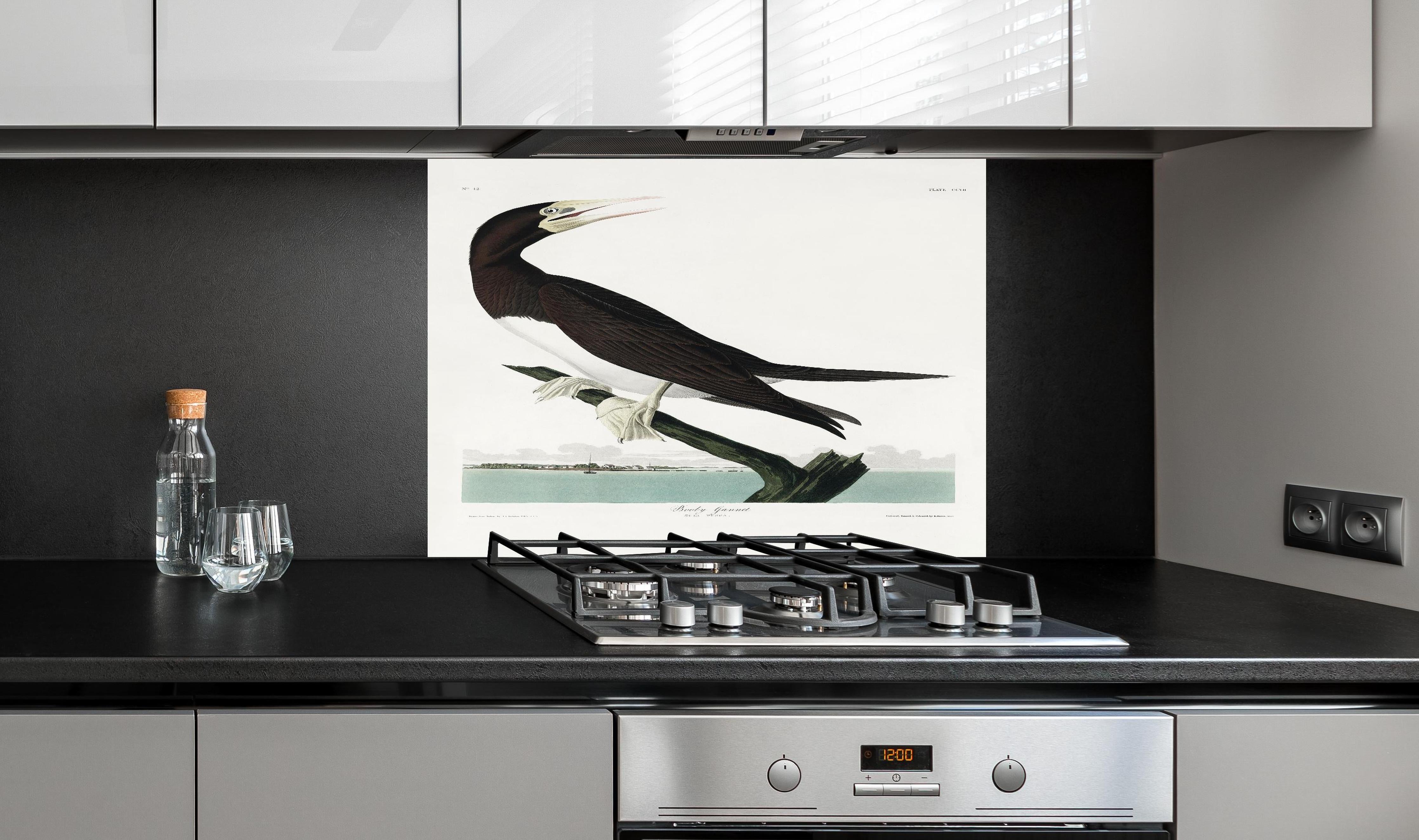 Spritzschutz - Vogel Portrait - Robert Havel hinter einem Cerankochfeld zwischen Holz-Kochutensilien