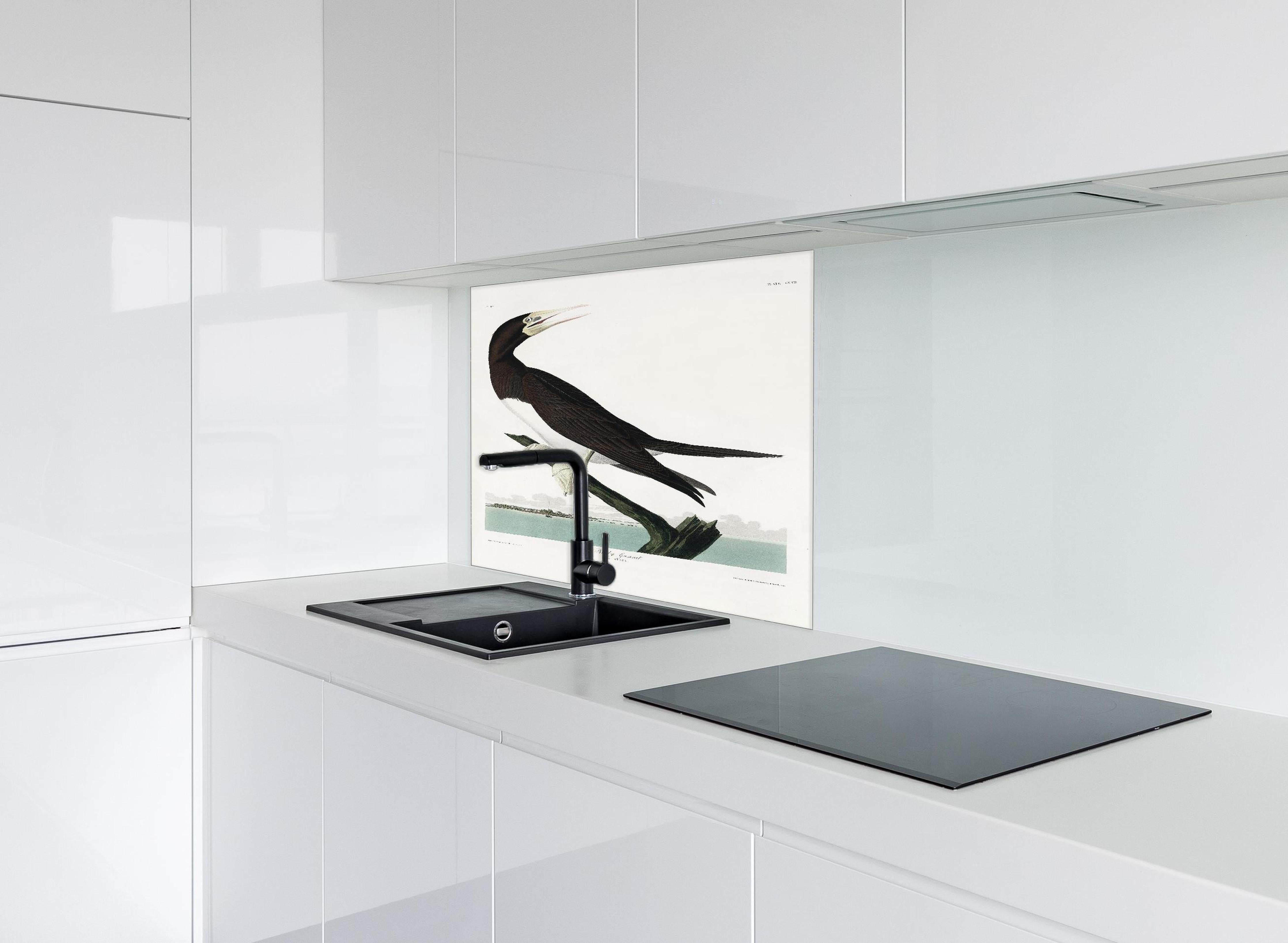 Spritzschutz - Vogel Portrait - Robert Havel hinter einem Cerankochfeld zwischen Holz-Kochutensilien