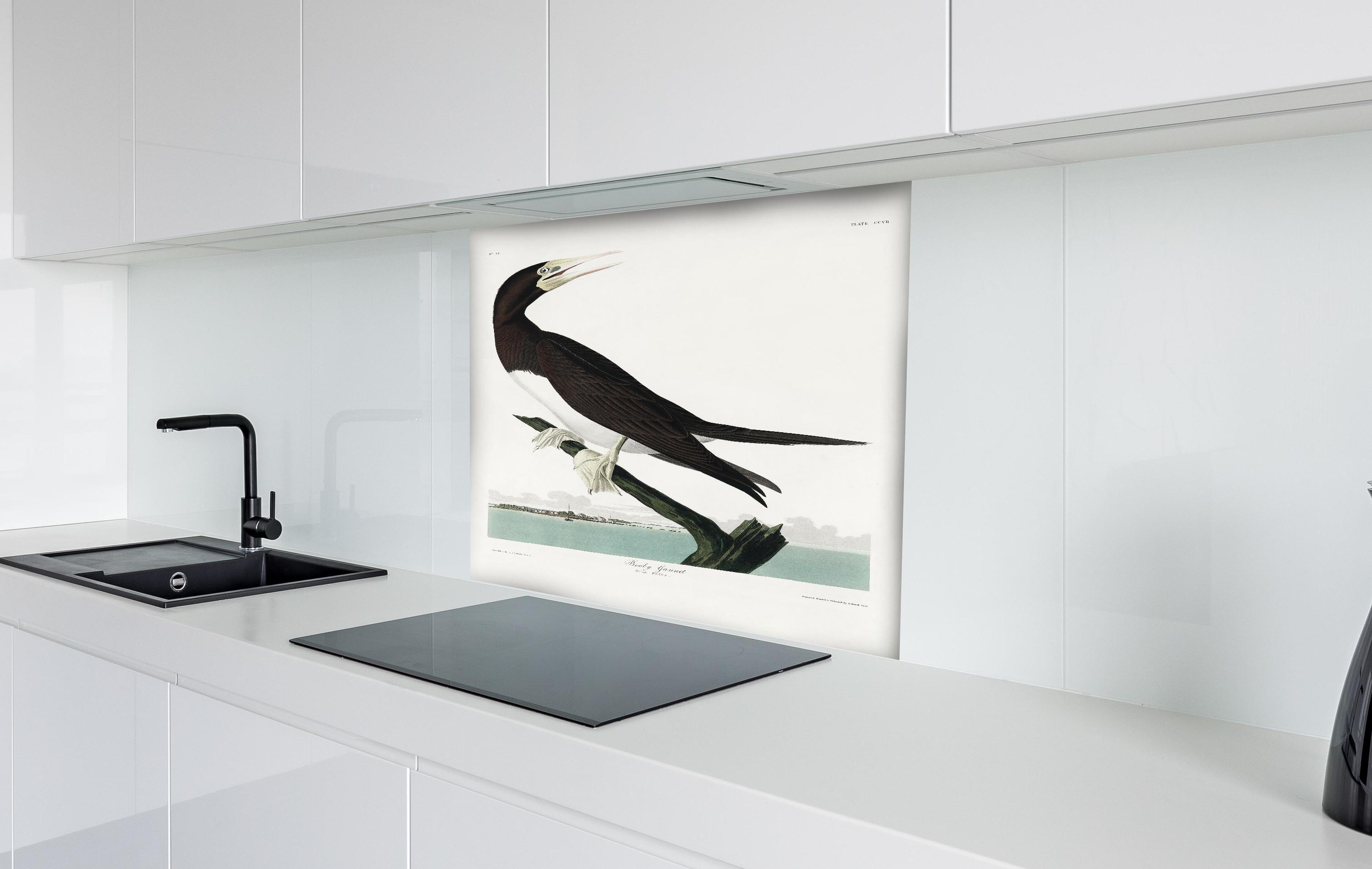 Spritzschutz - Vogel Portrait - Robert Havel hinter einem Cerankochfeld zwischen Holz-Kochutensilien