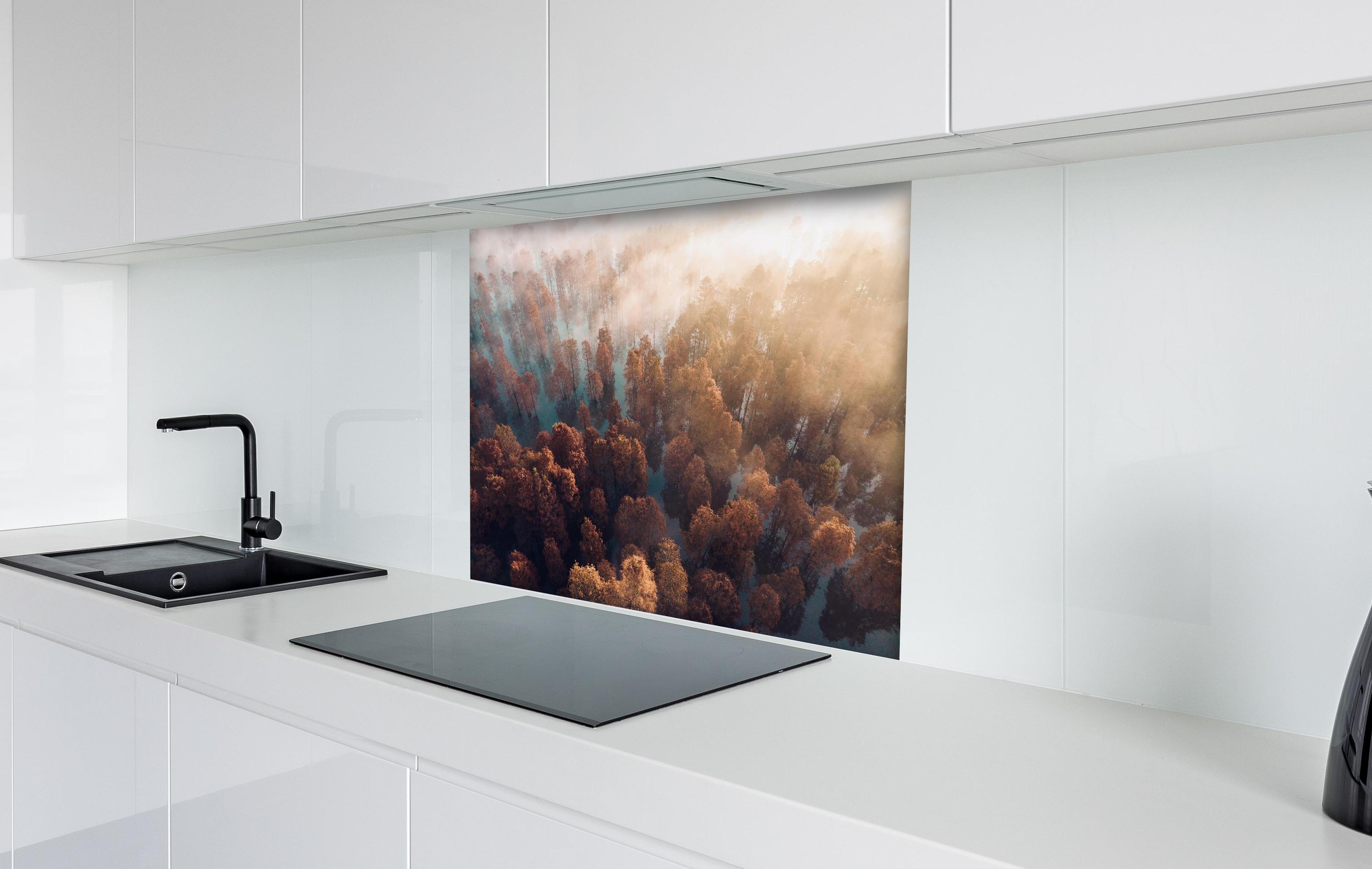 Spritzschutz - Vogelperspektive - Wald im Herbst hinter einem Cerankochfeld zwischen Holz-Kochutensilien