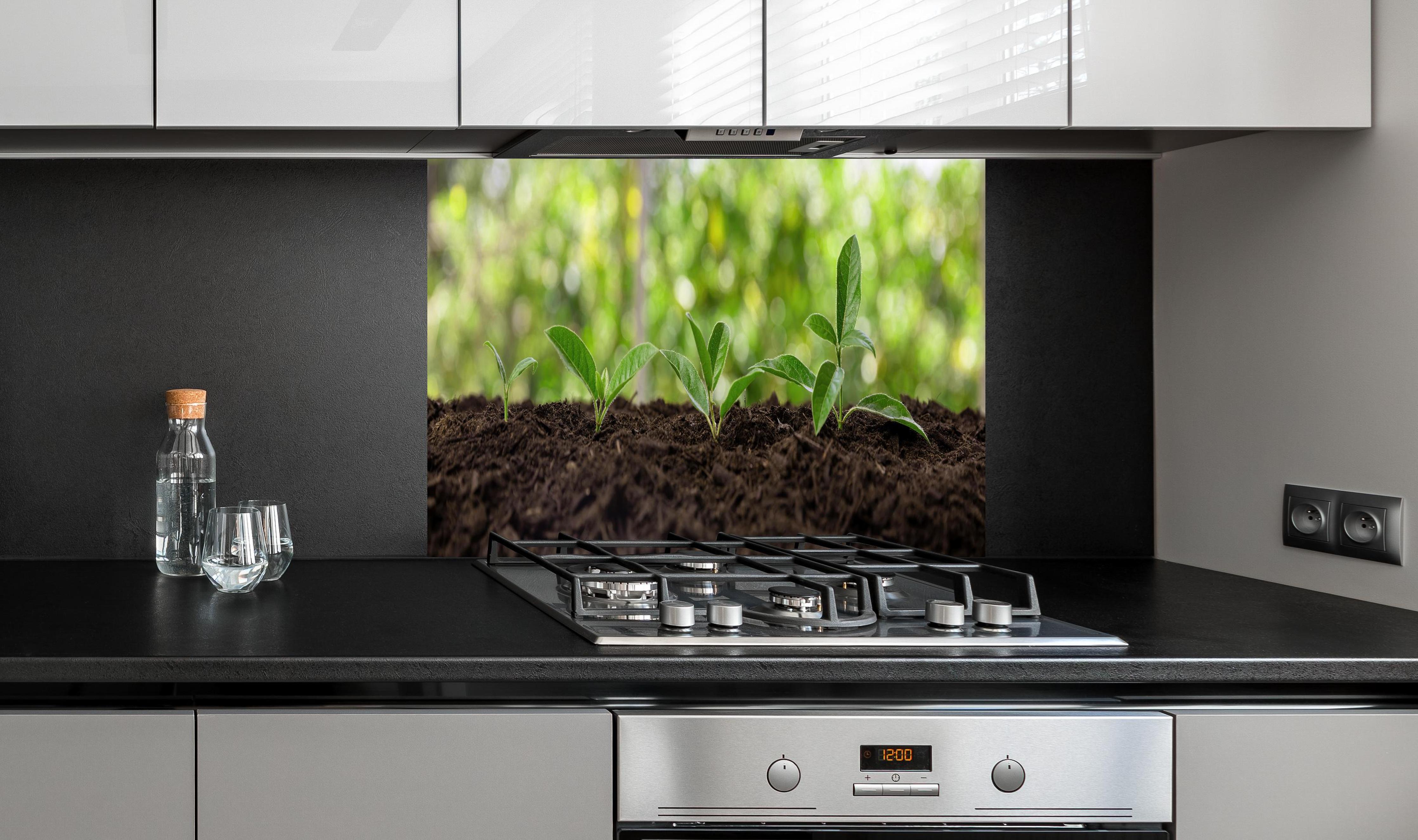 Spritzschutz - Wachsende Setzlinge in Gartenerde hinter einem Cerankochfeld zwischen Holz-Kochutensilien