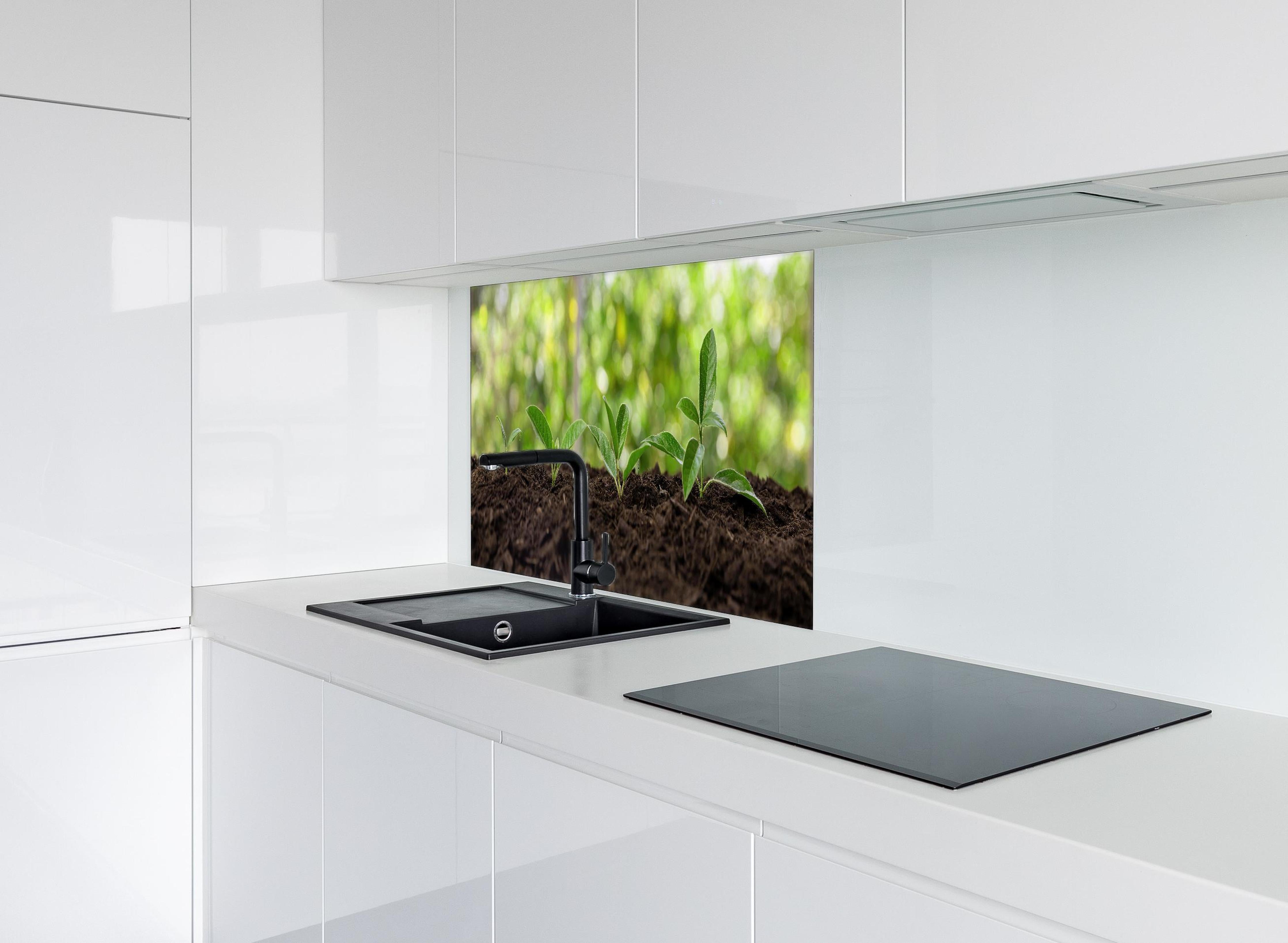 Spritzschutz - Wachsende Setzlinge in Gartenerde hinter einem Cerankochfeld zwischen Holz-Kochutensilien