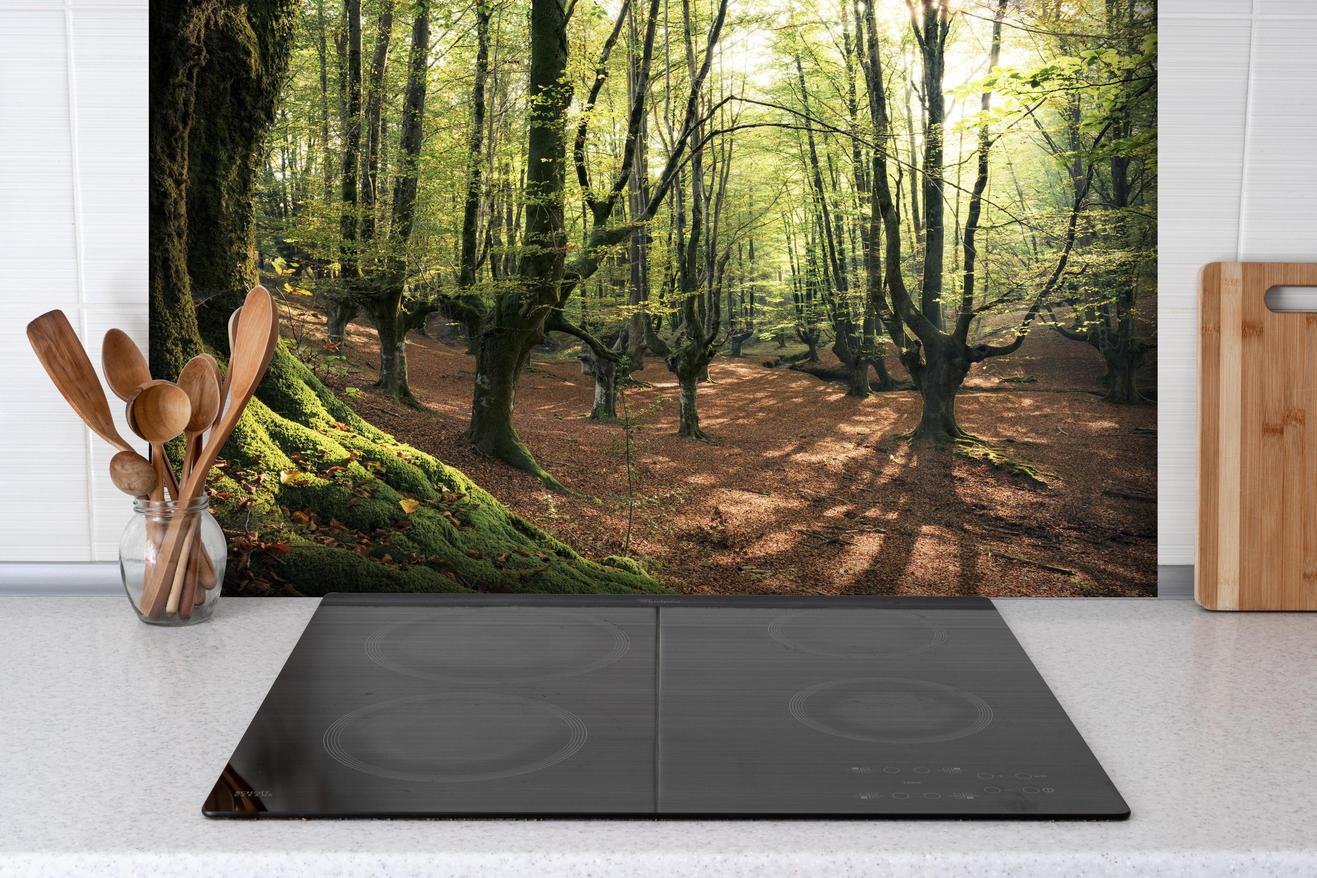 Spritzschutz - Wald in Spanien hinter einem Cerankochfeld zwischen Holz-Kochutensilien