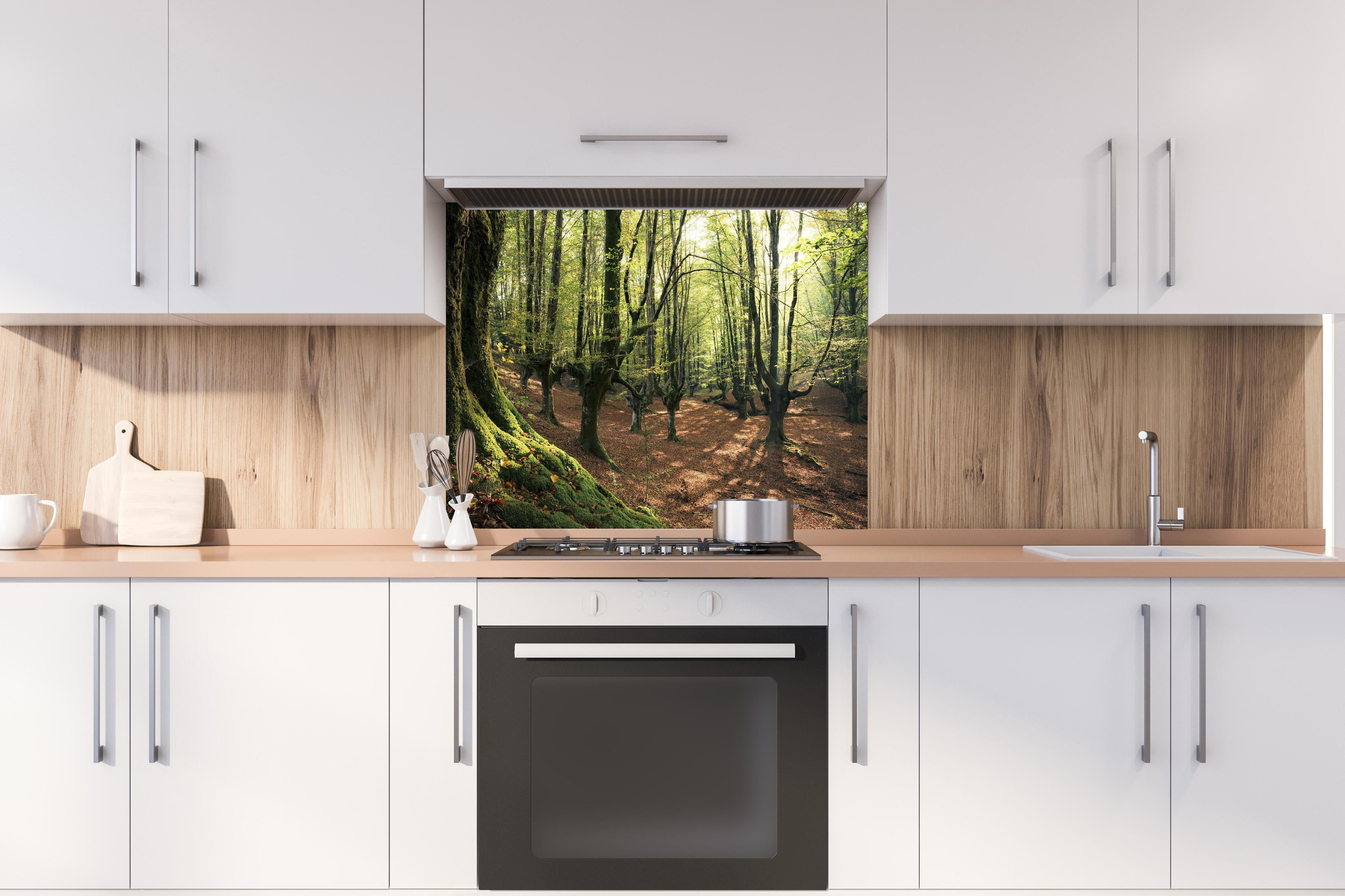 Spritzschutz - Wald in Spanien hinter einem Cerankochfeld zwischen Holz-Kochutensilien