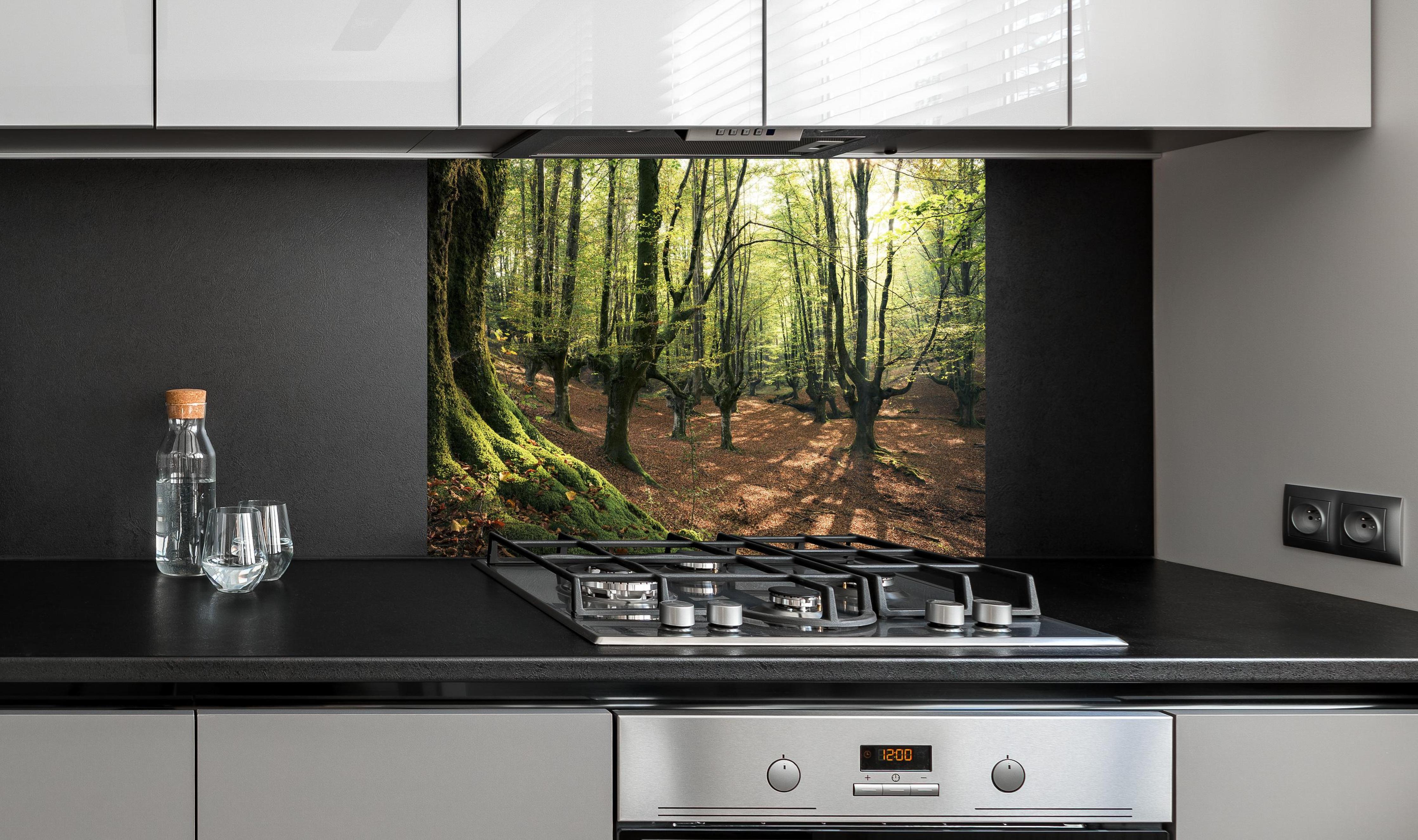 Spritzschutz - Wald in Spanien hinter einem Cerankochfeld zwischen Holz-Kochutensilien