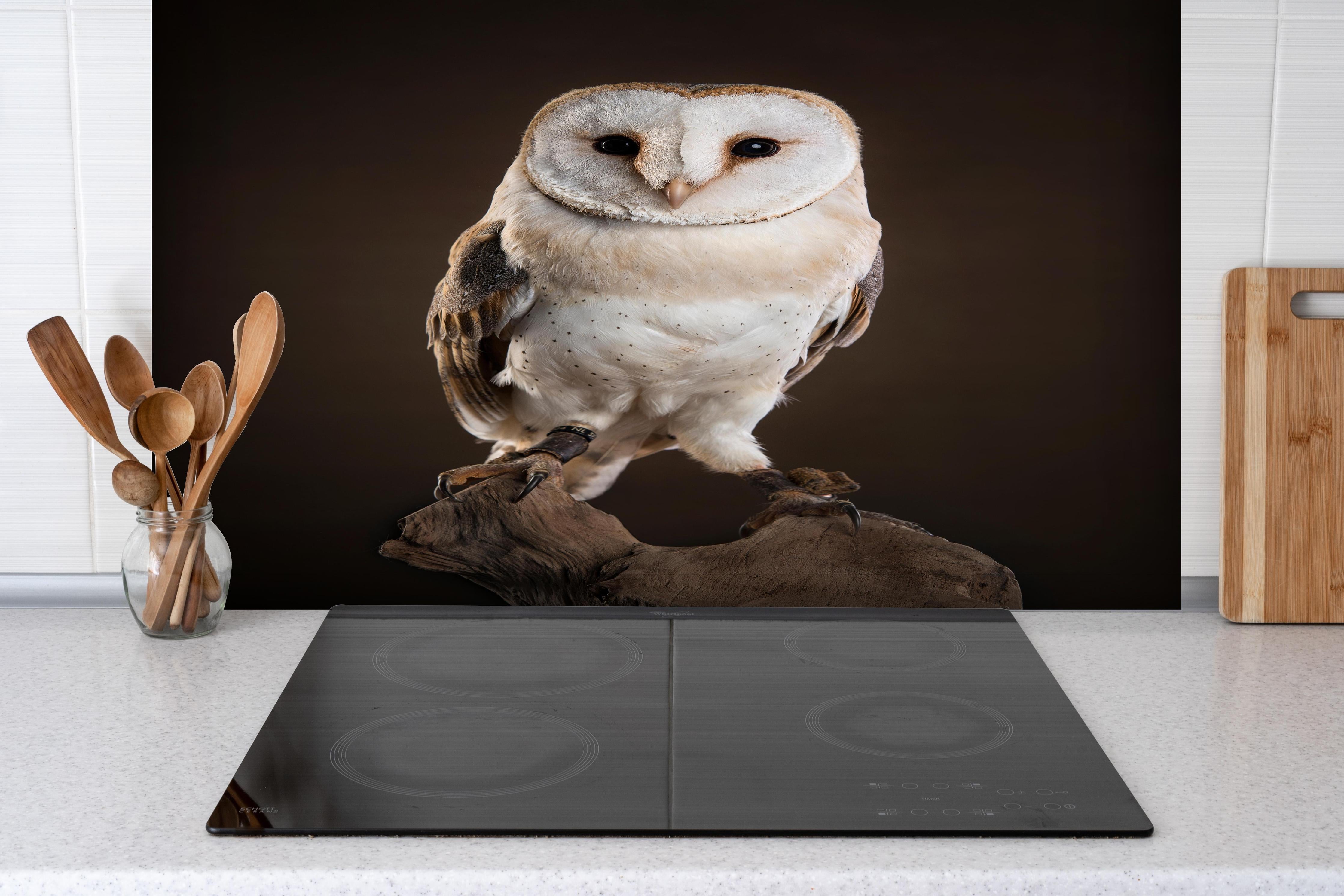 Spritzschutz - Waldkauz auf Ast - Dunkelbrauner Hintergrund hinter einem Cerankochfeld zwischen Holz-Kochutensilien