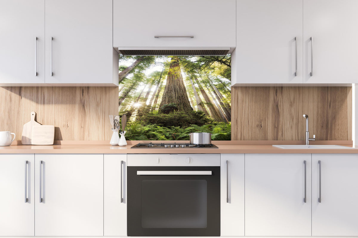 Spritzschutz - Waldlandschaft mit Sonnenlicht-Durchbruch hinter einem Cerankochfeld zwischen Holz-Kochutensilien