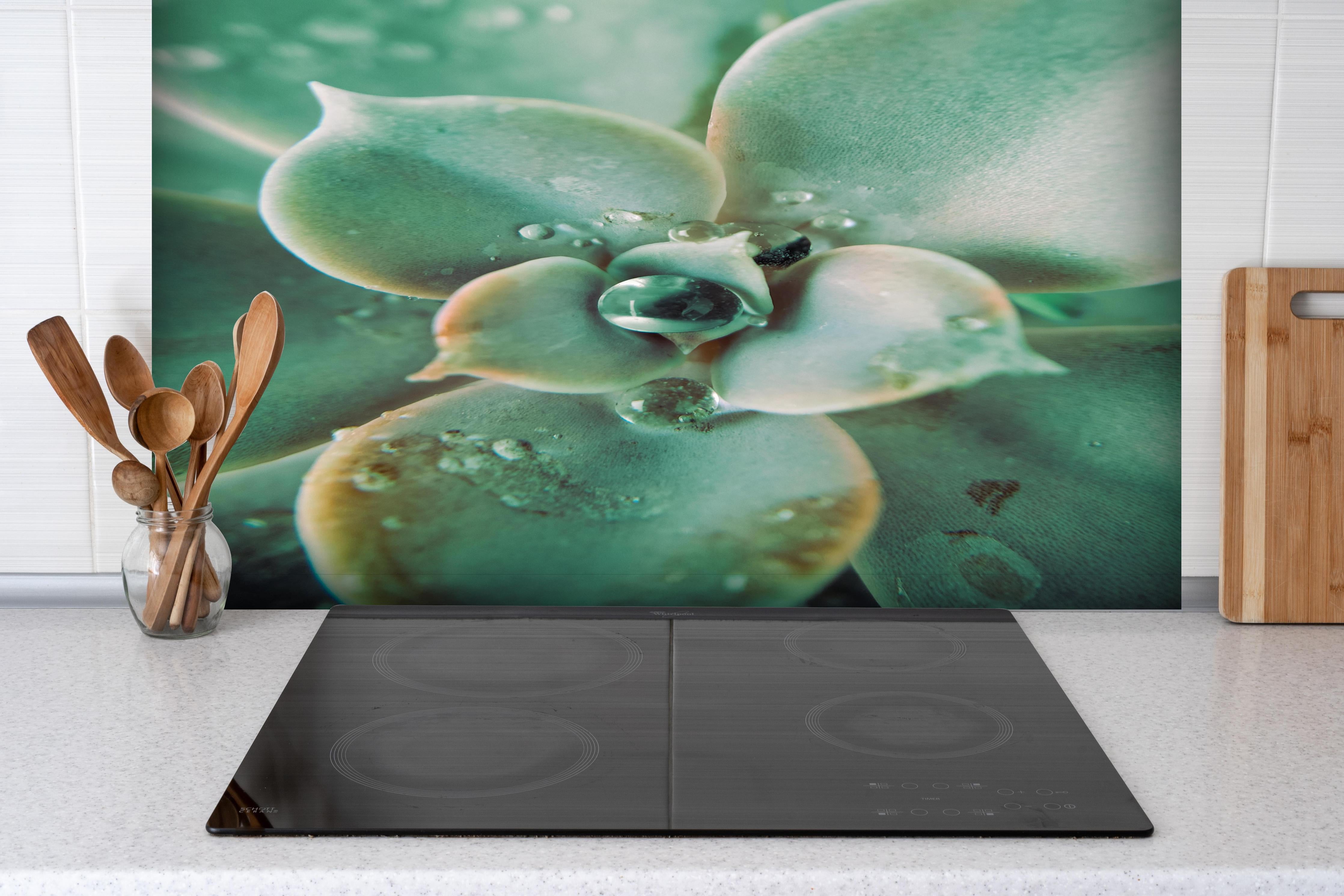 Spritzschutz - Wassertropfen - Sukkulente hinter einem Cerankochfeld zwischen Holz-Kochutensilien