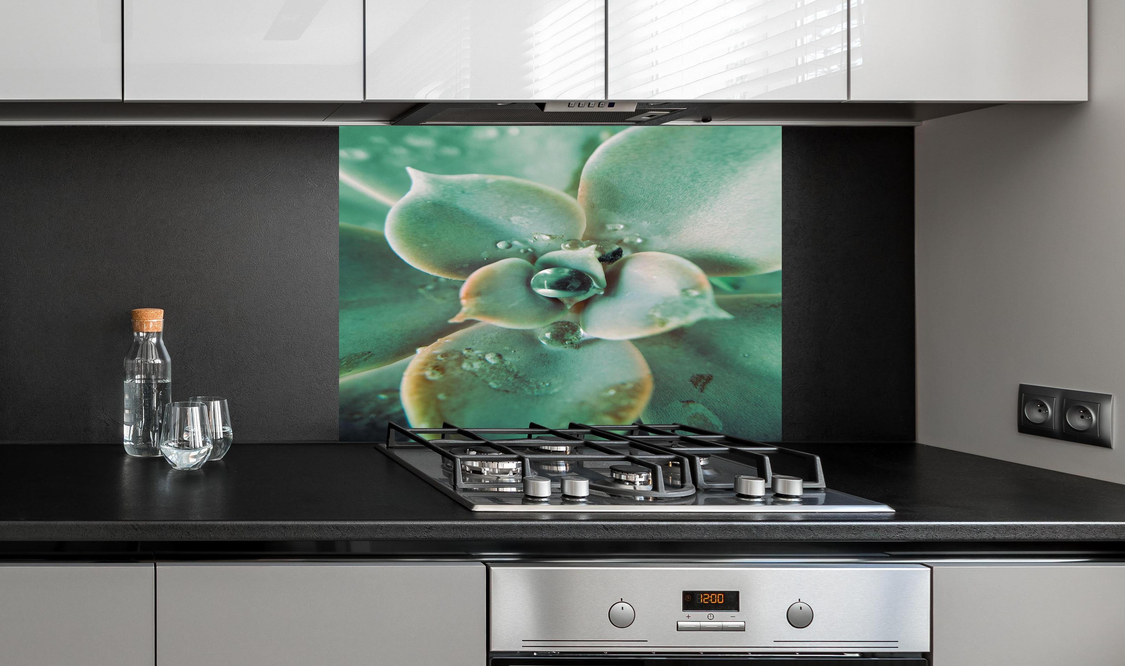 Spritzschutz - Wassertropfen - Sukkulente hinter einem Cerankochfeld zwischen Holz-Kochutensilien