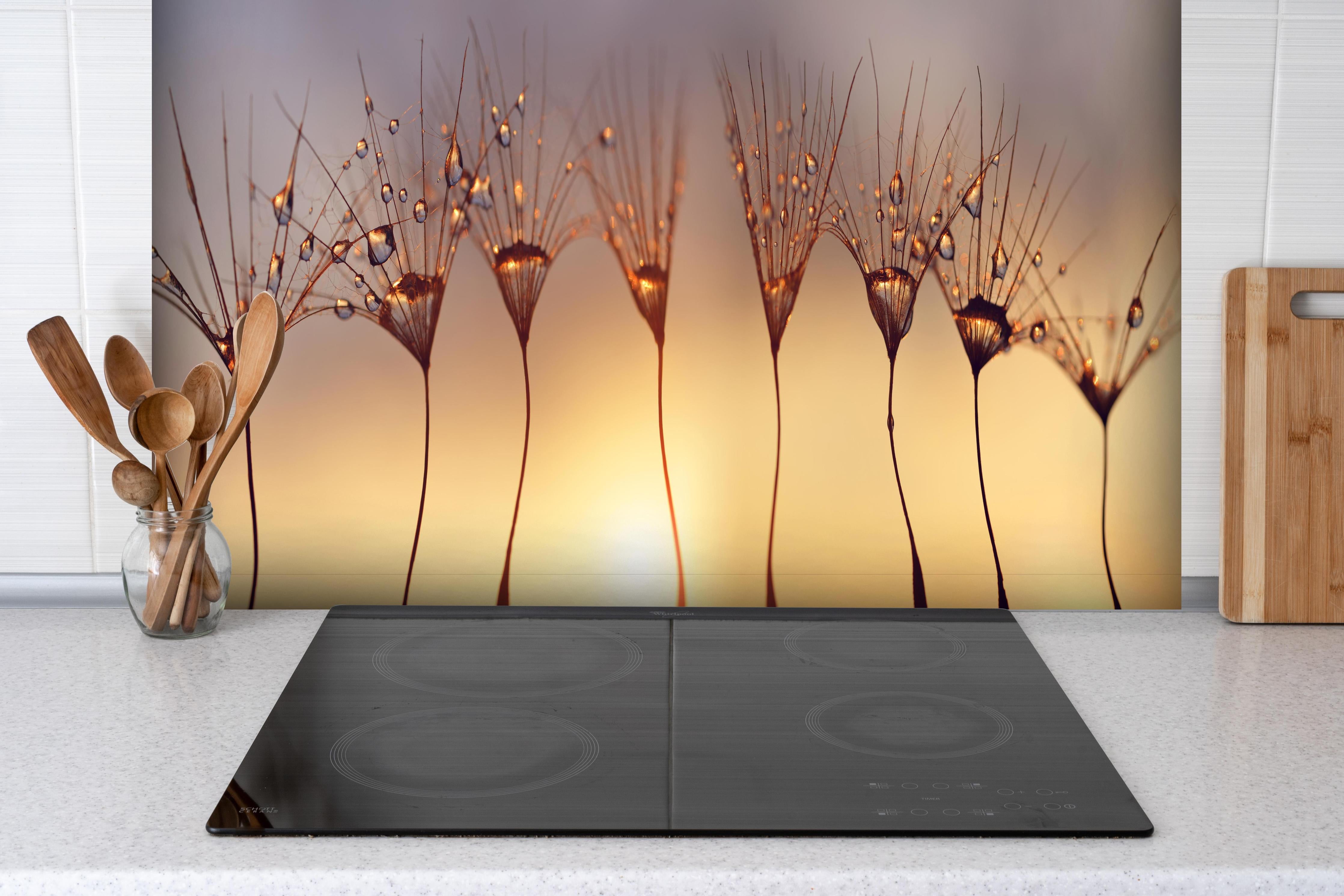 Spritzschutz - Wassertropfen auf Löwenzahnsamen hinter einem Cerankochfeld zwischen Holz-Kochutensilien