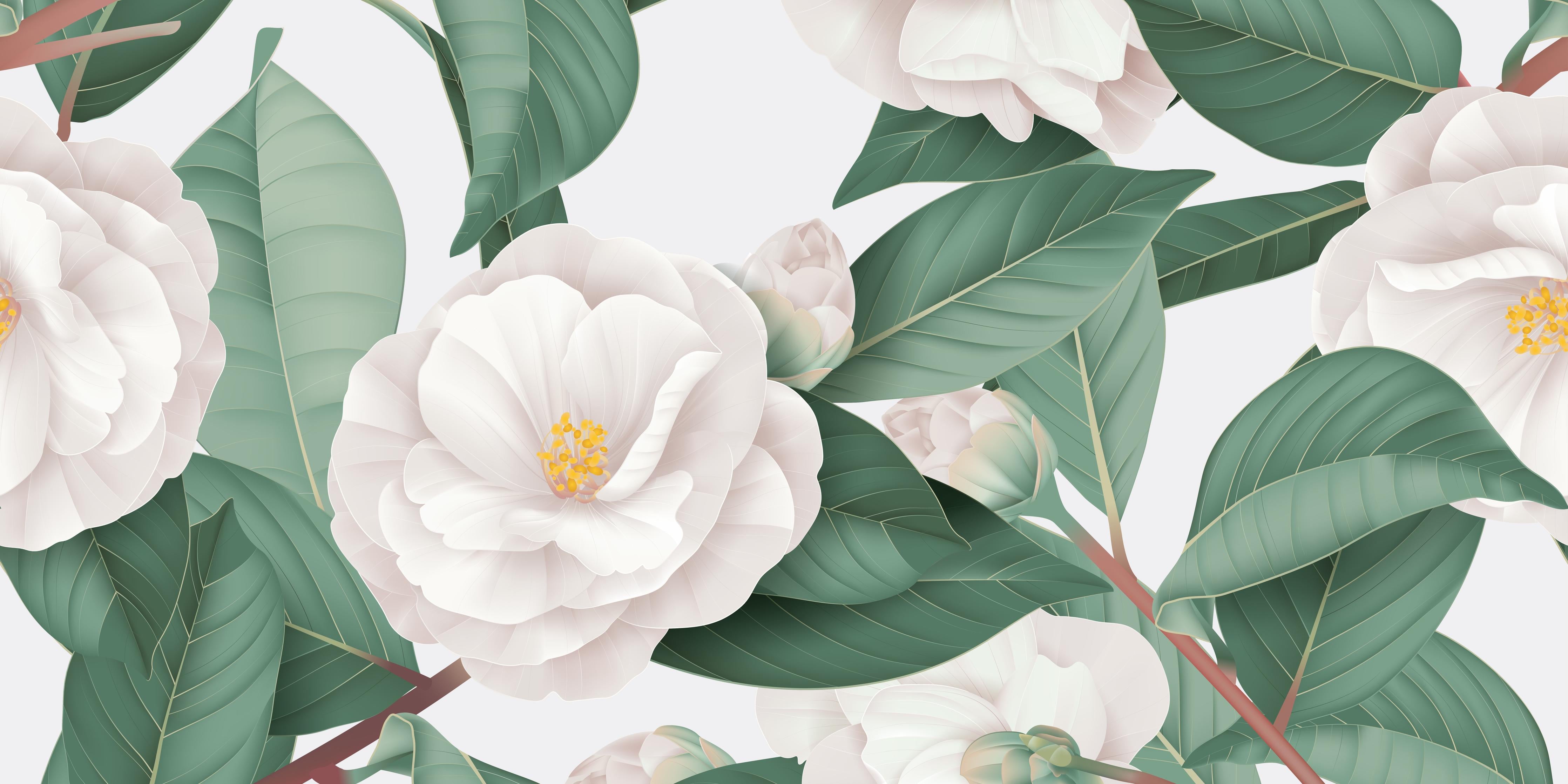 Spritzschutz-Weiße Blüten