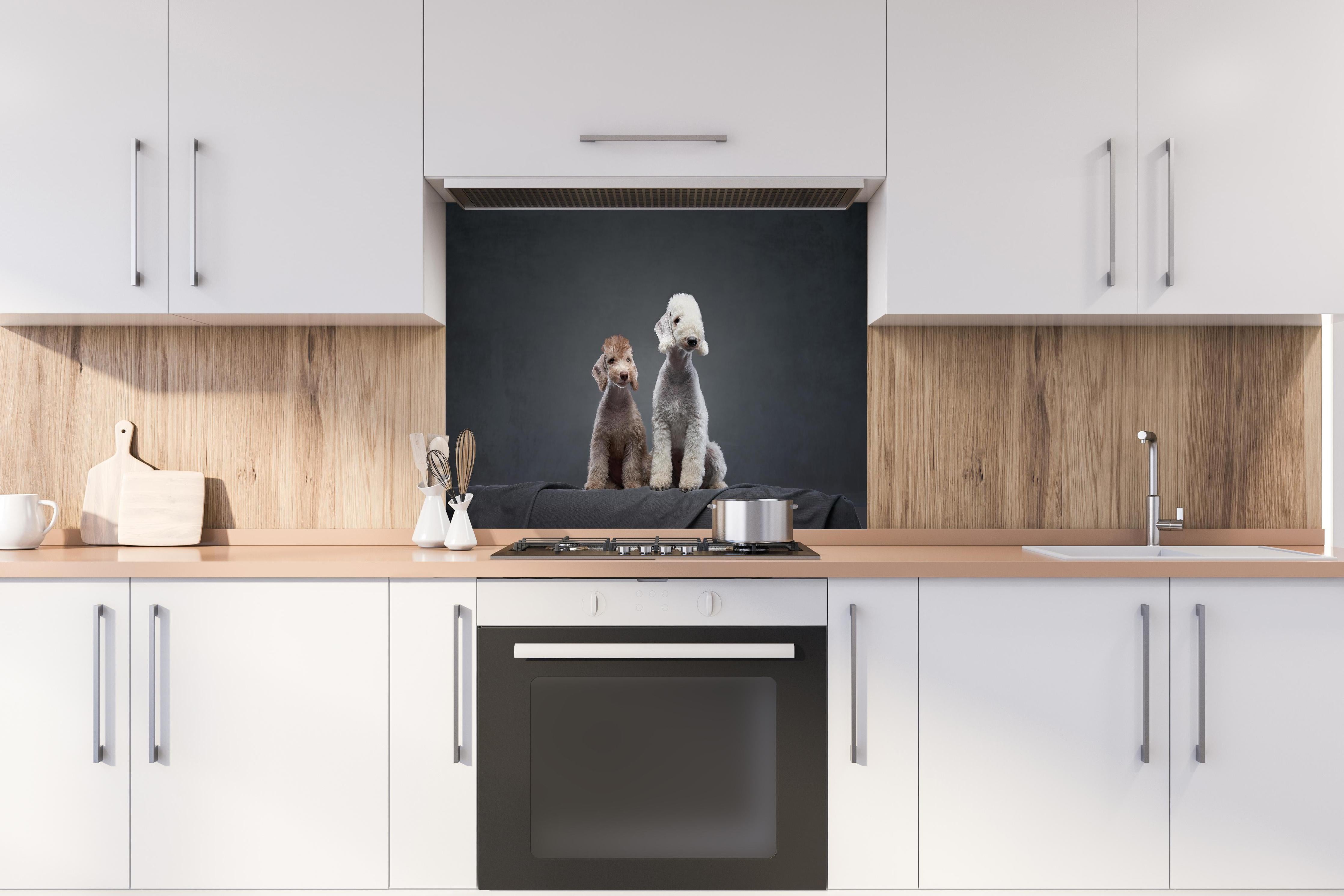 Spritzschutz - Welpe und erwachsener Bedlington Terrier hinter einem Cerankochfeld zwischen Holz-Kochutensilien