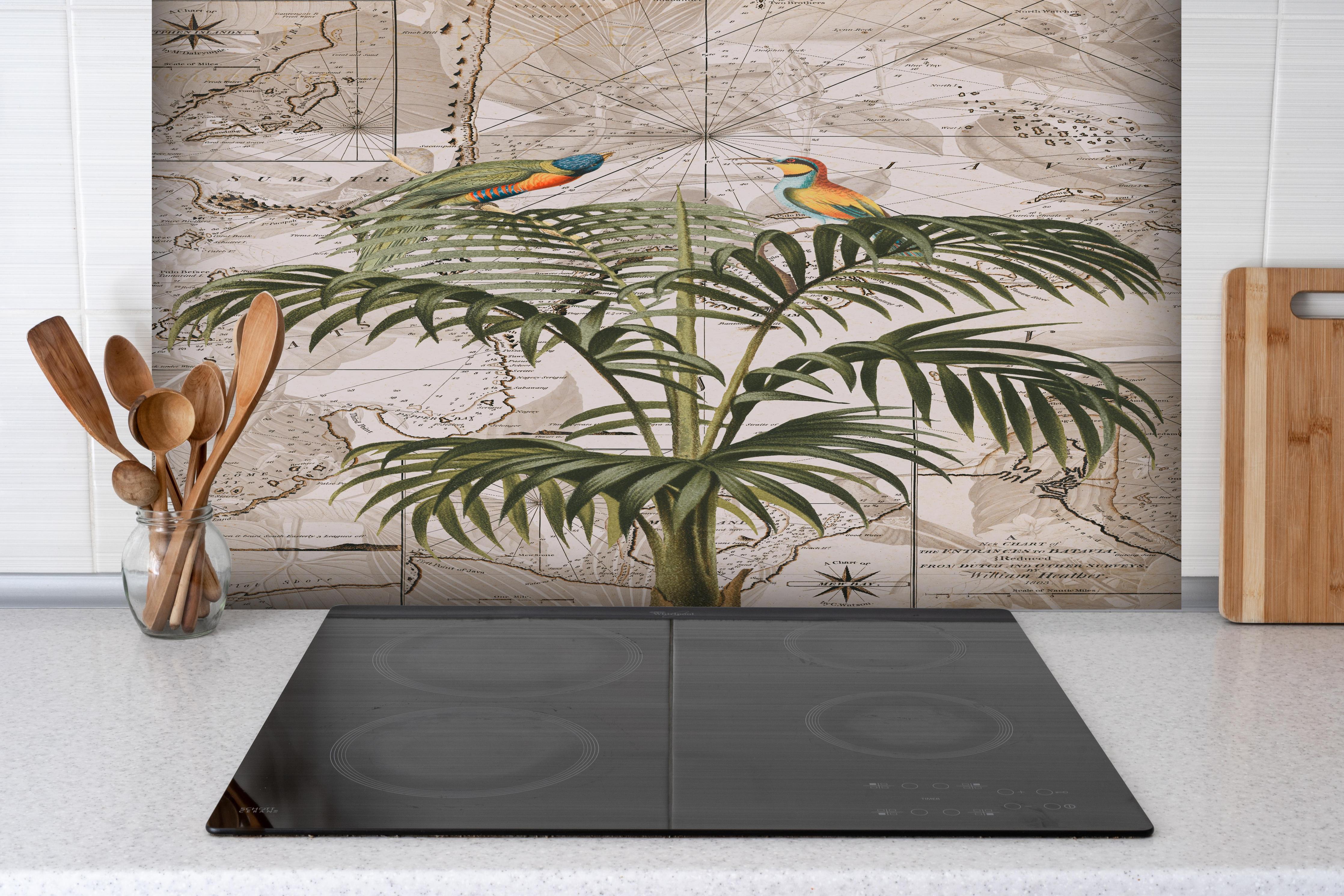 Spritzschutz - Weltkarte - Tropische Pflanze hinter einem Cerankochfeld zwischen Holz-Kochutensilien