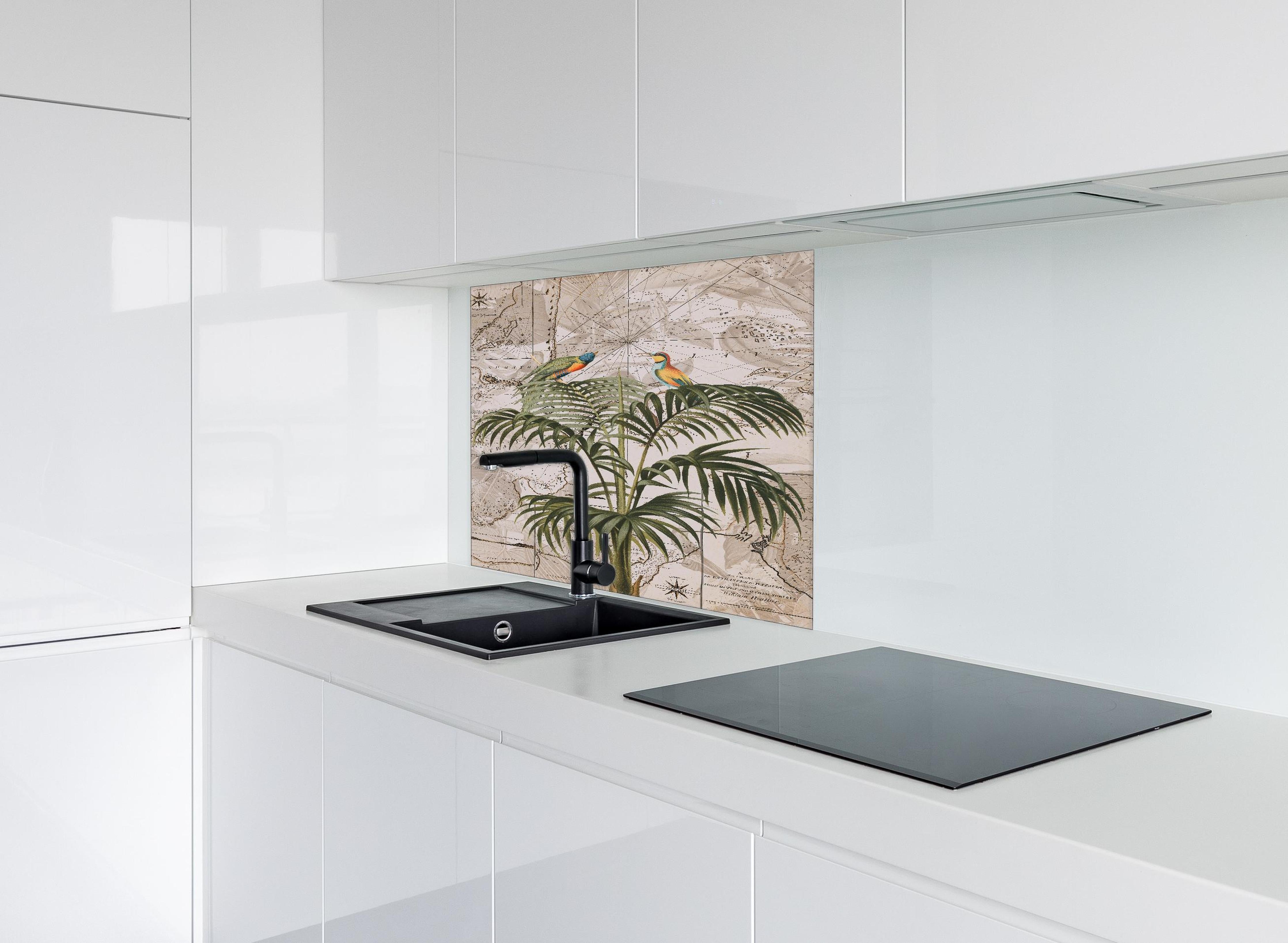 Spritzschutz - Weltkarte - Tropische Pflanze hinter einem Cerankochfeld zwischen Holz-Kochutensilien