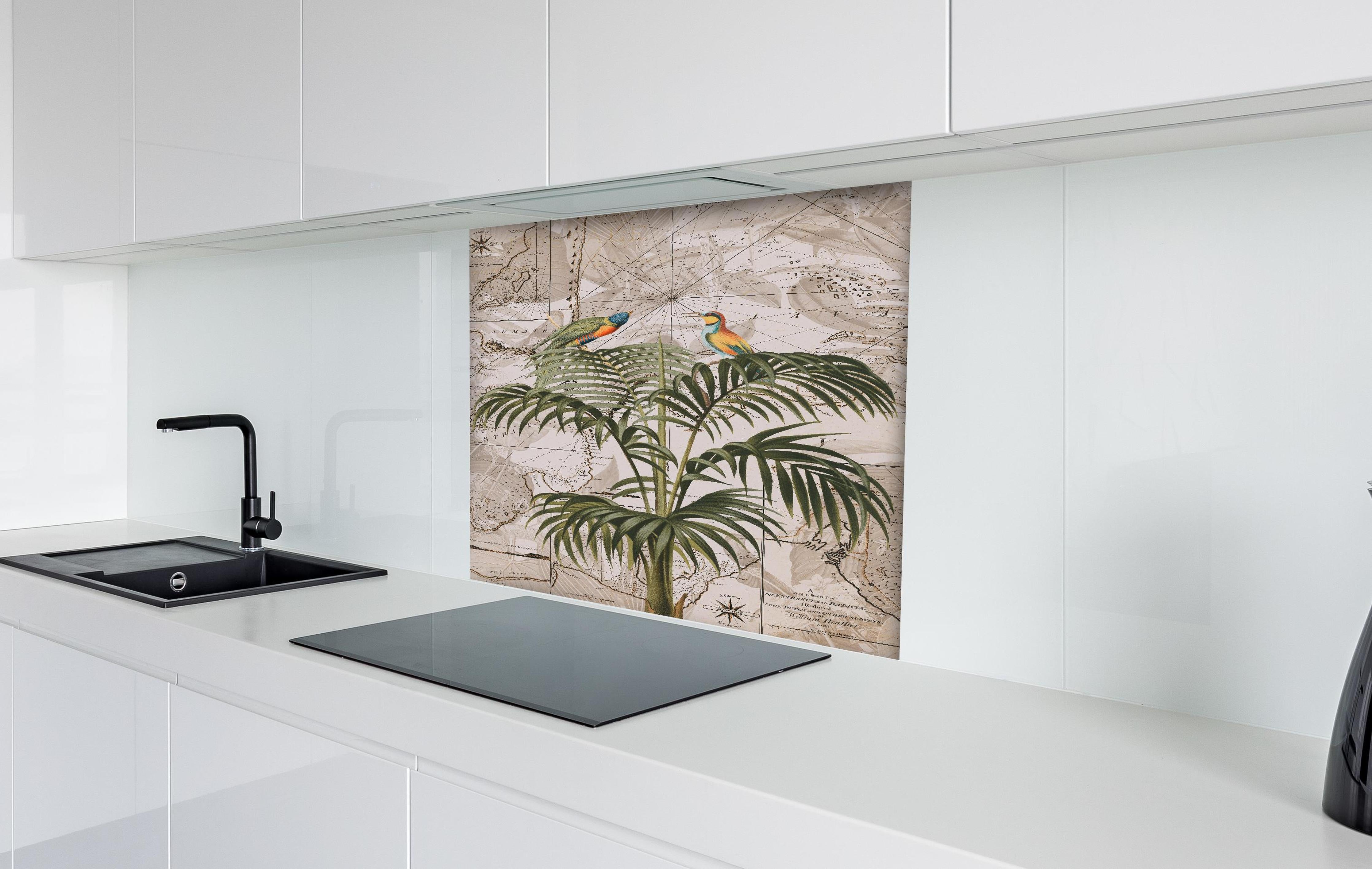 Spritzschutz - Weltkarte - Tropische Pflanze hinter einem Cerankochfeld zwischen Holz-Kochutensilien