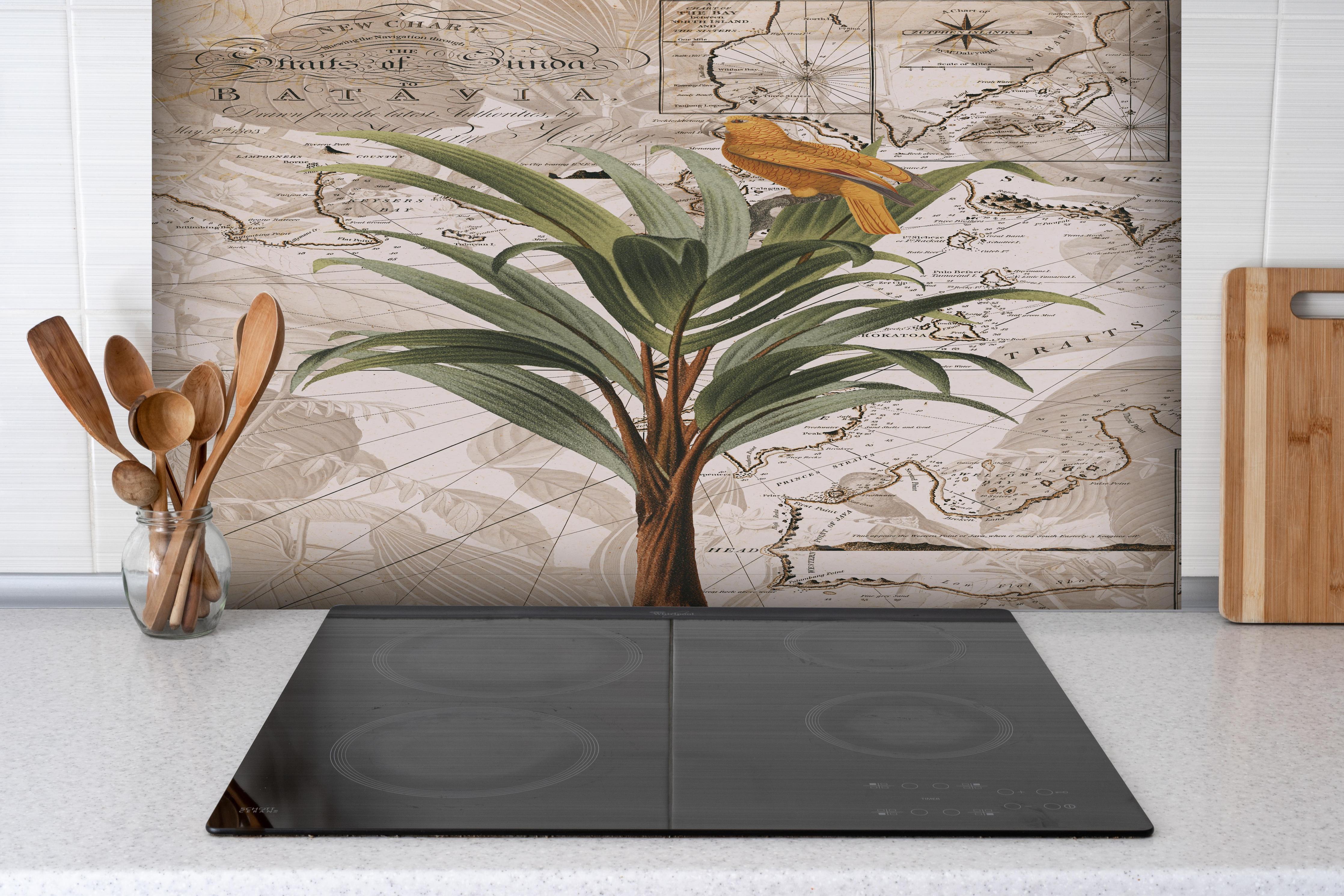 Spritzschutz - Weltkarte - tropische Pflanze hinter einem Cerankochfeld zwischen Holz-Kochutensilien