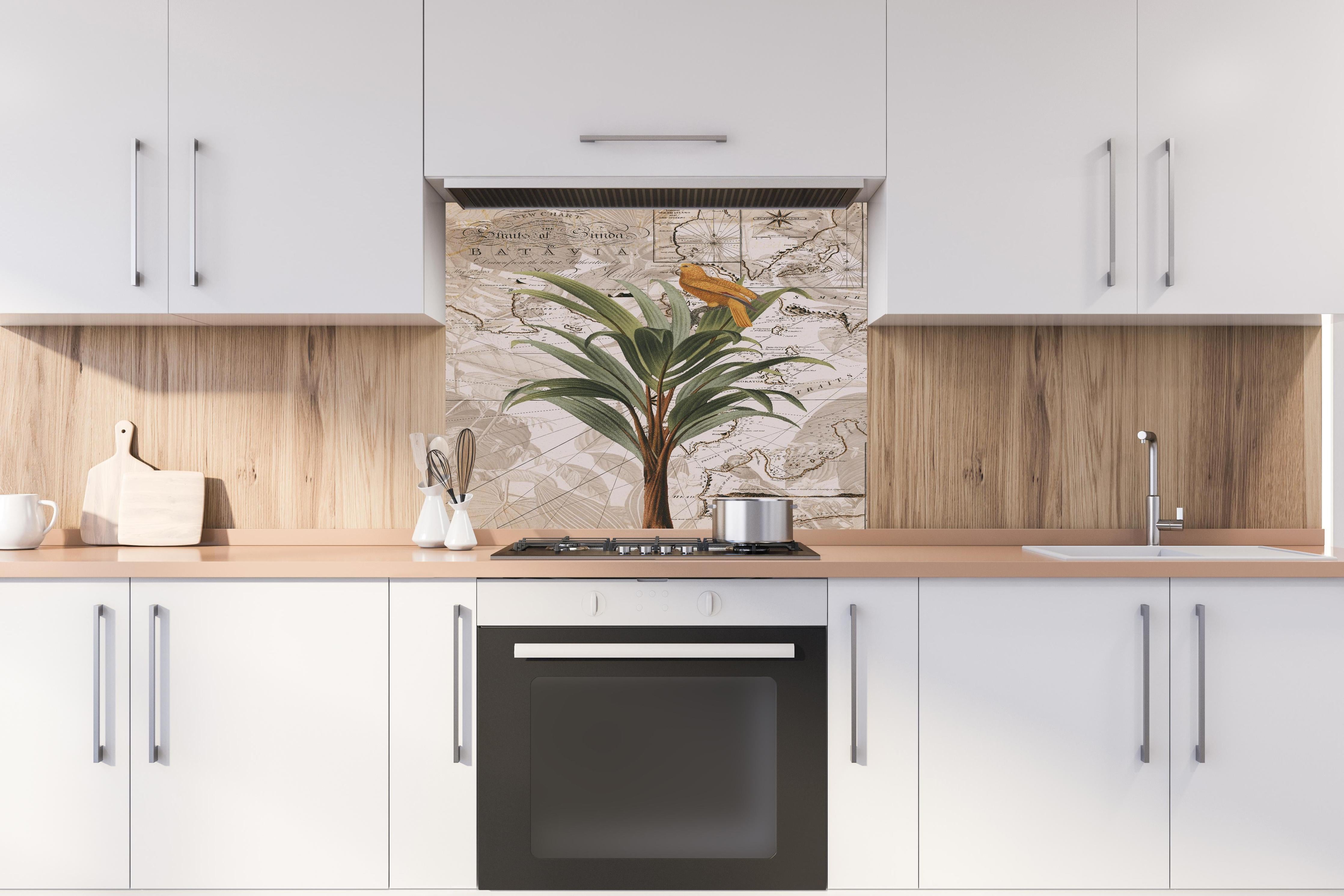 Spritzschutz - Weltkarte - tropische Pflanze hinter einem Cerankochfeld zwischen Holz-Kochutensilien