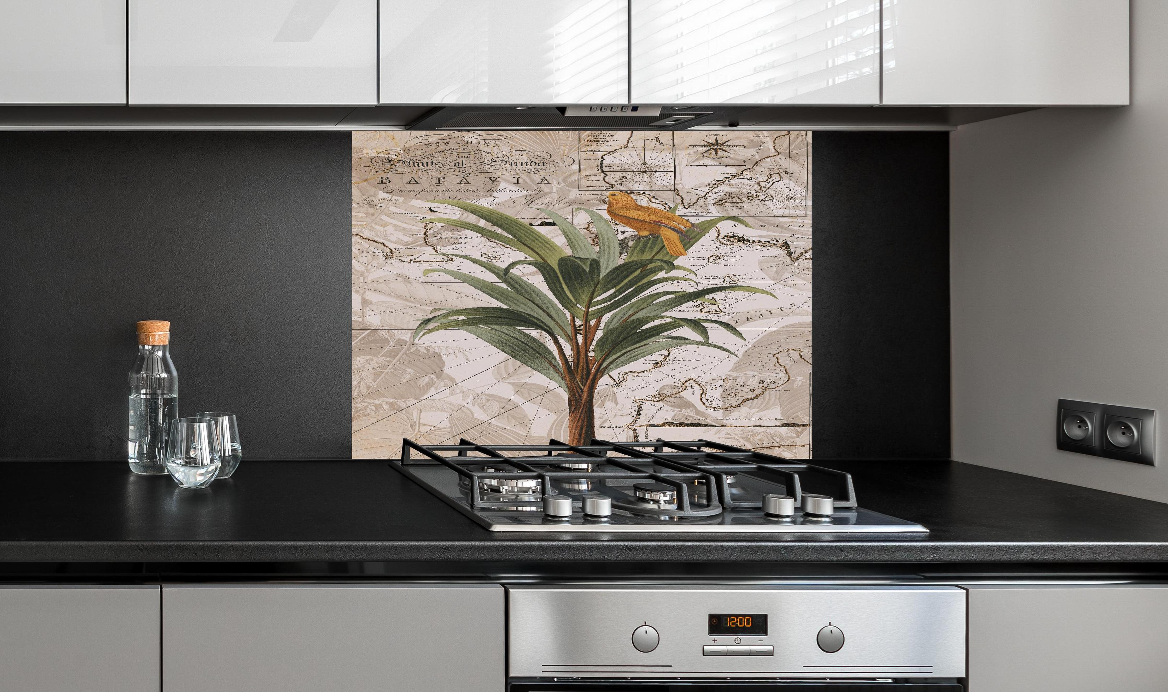 Spritzschutz - Weltkarte - tropische Pflanze hinter einem Cerankochfeld zwischen Holz-Kochutensilien