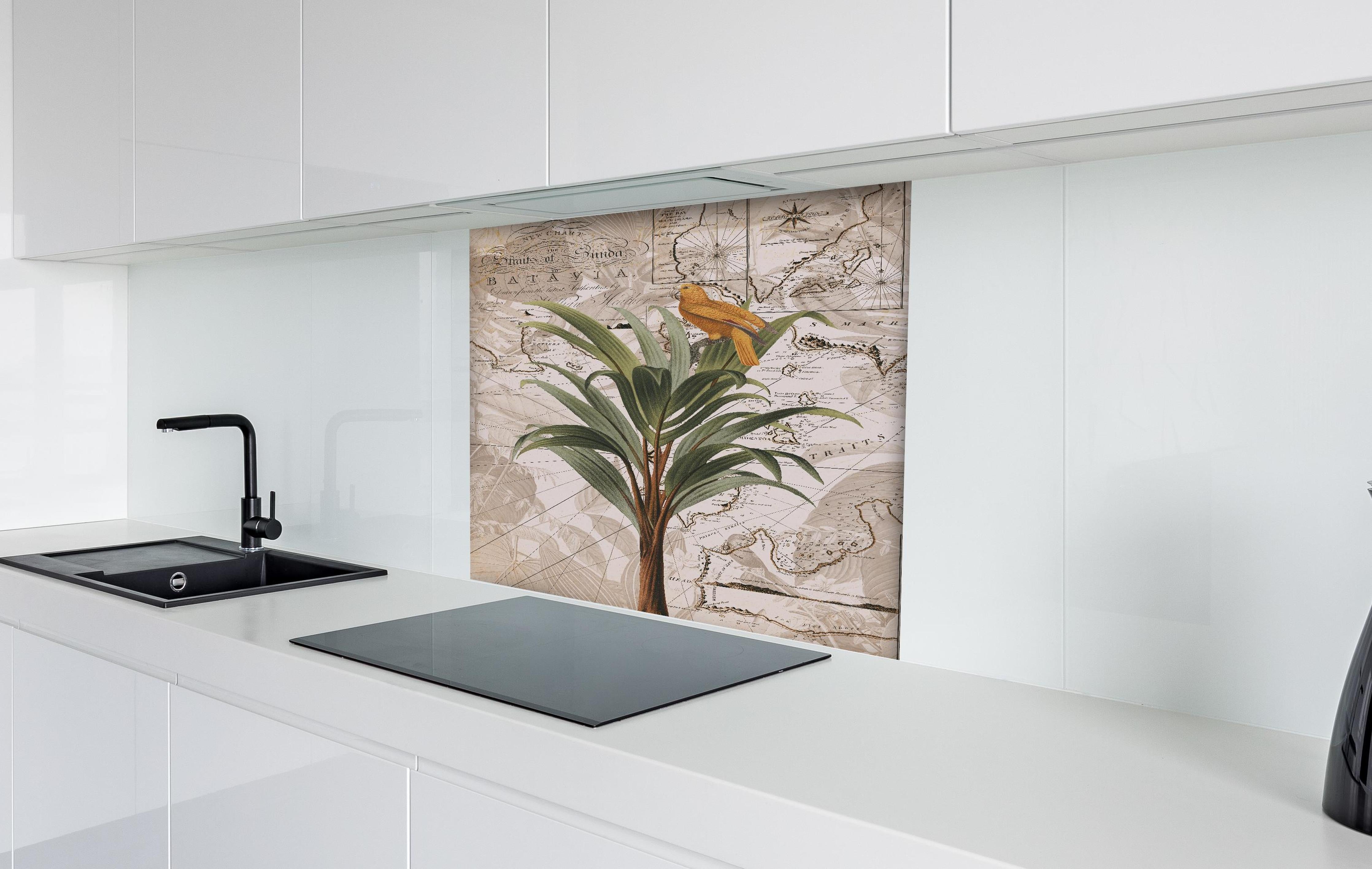 Spritzschutz - Weltkarte - tropische Pflanze hinter einem Cerankochfeld zwischen Holz-Kochutensilien