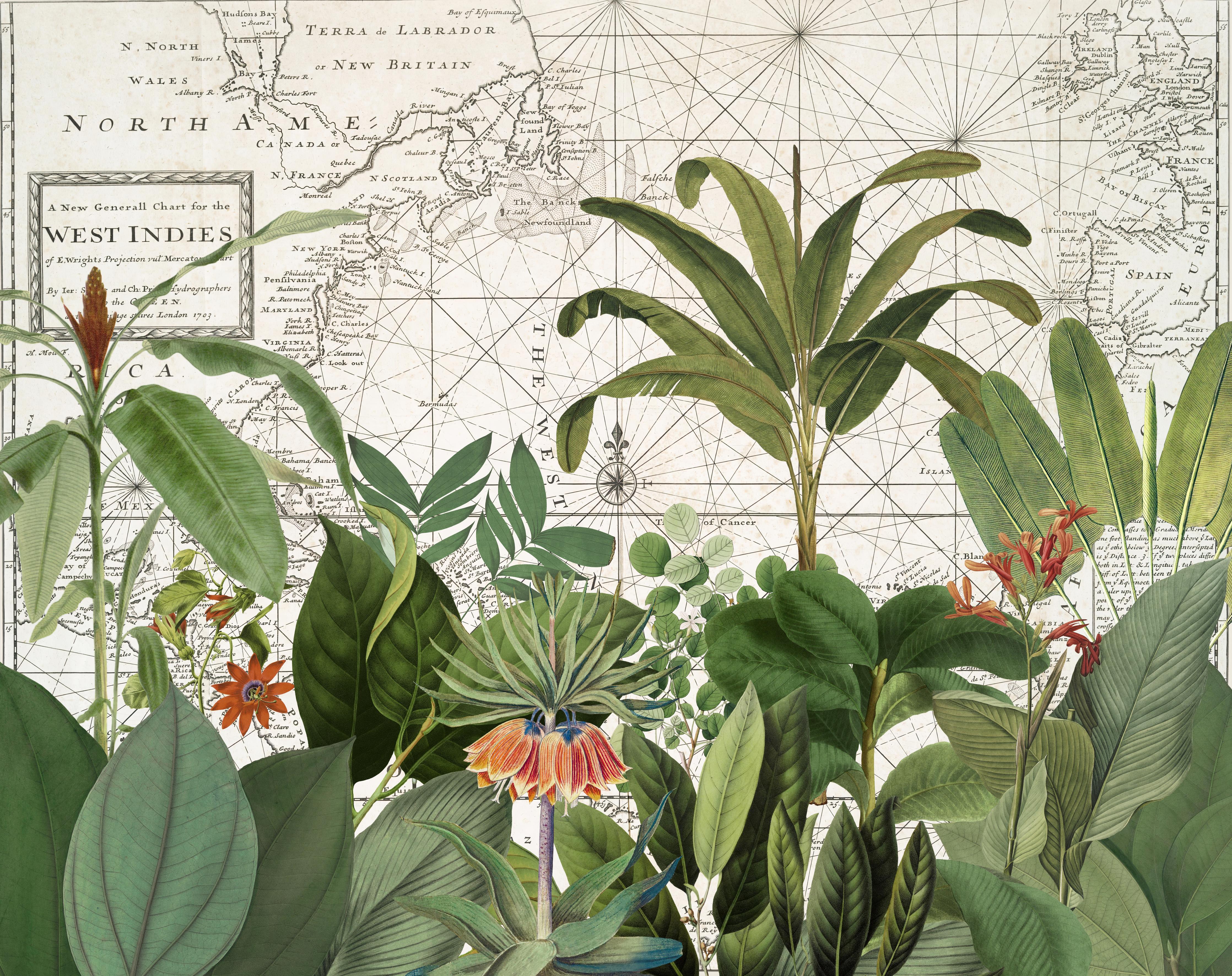 Spritzschutz-Weltkarte mit exotischen Pflanzen