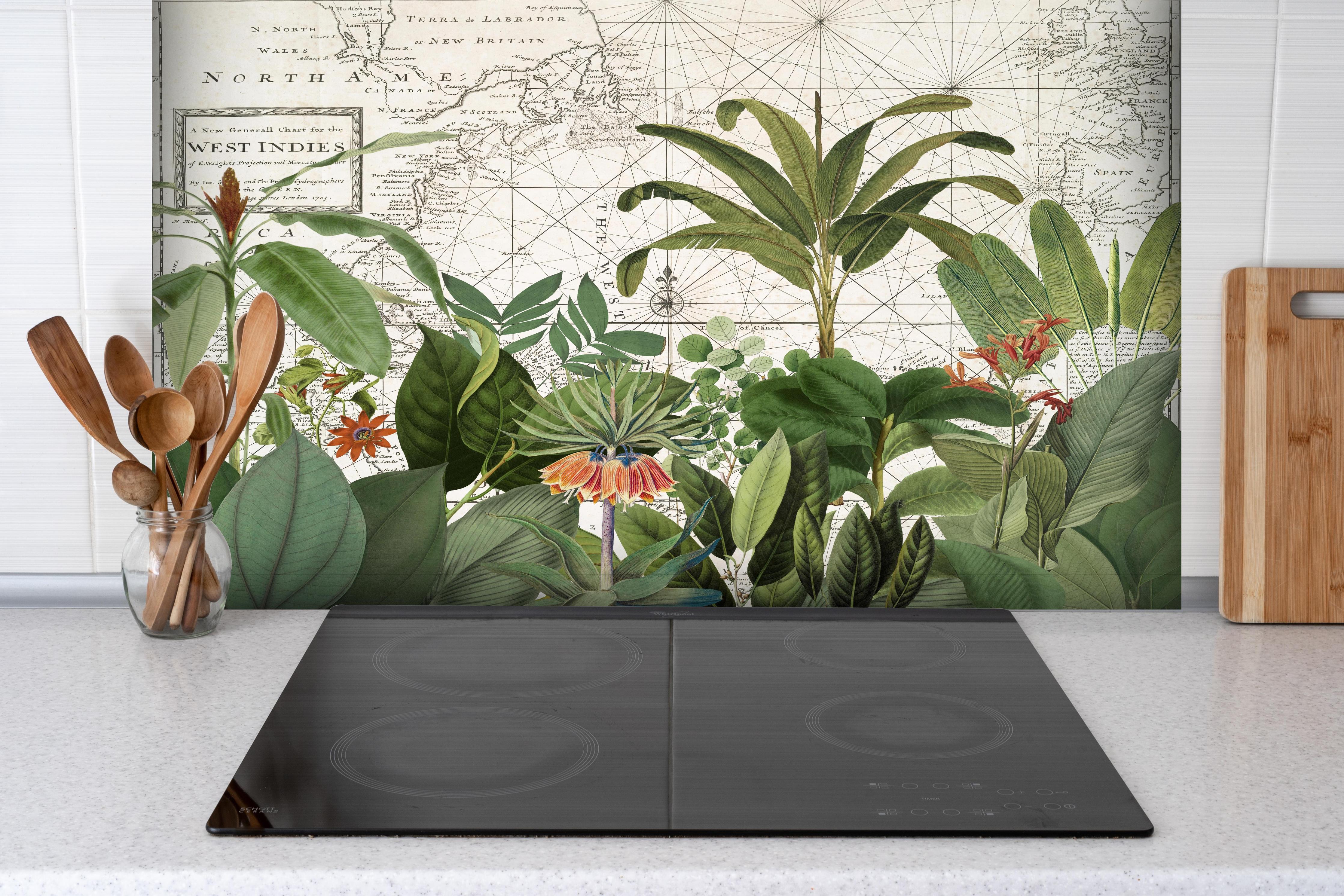 Spritzschutz - Weltkarte mit exotischen Pflanzen hinter einem Cerankochfeld zwischen Holz-Kochutensilien
