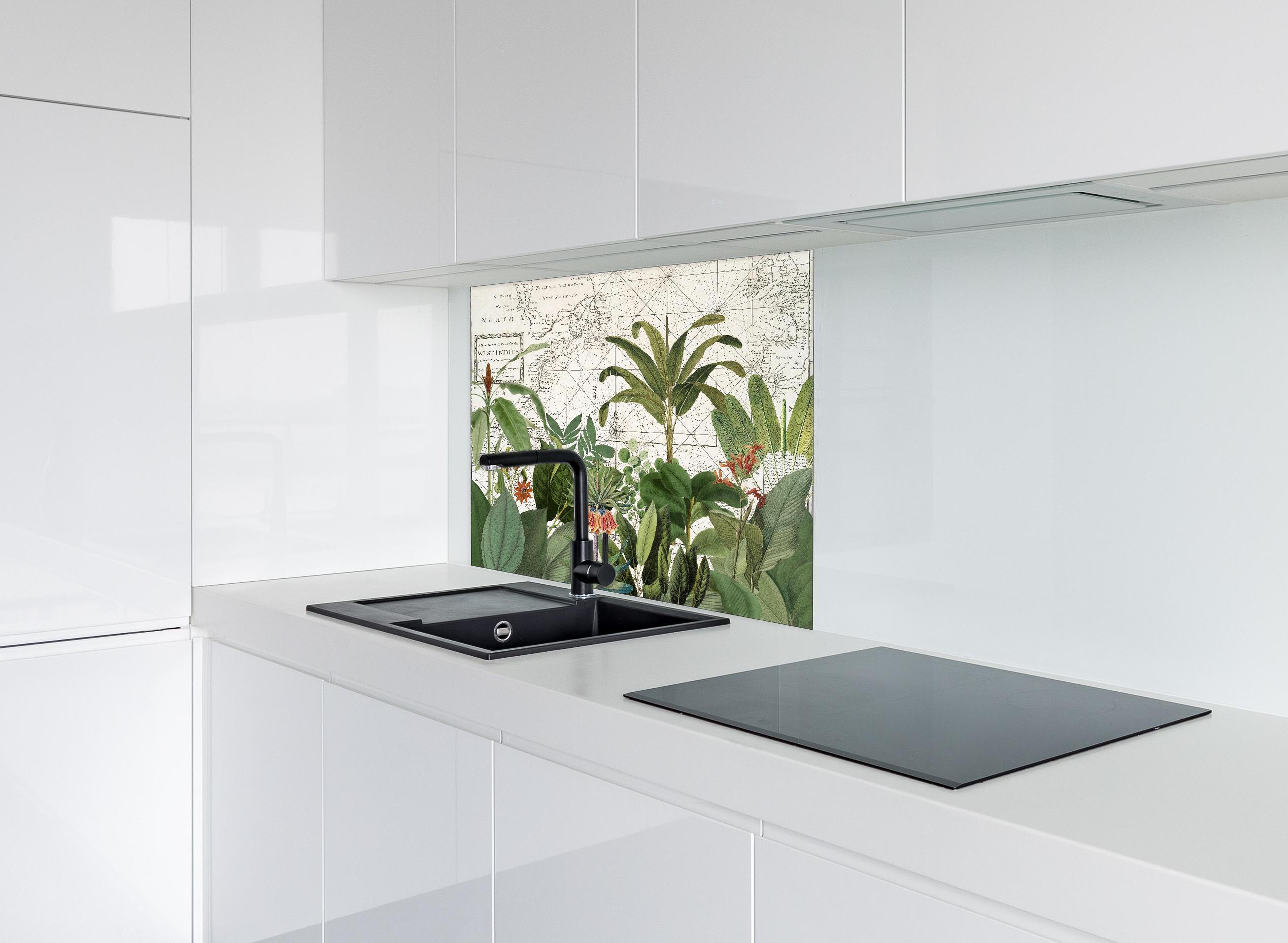 Spritzschutz - Weltkarte mit exotischen Pflanzen hinter einem Cerankochfeld zwischen Holz-Kochutensilien