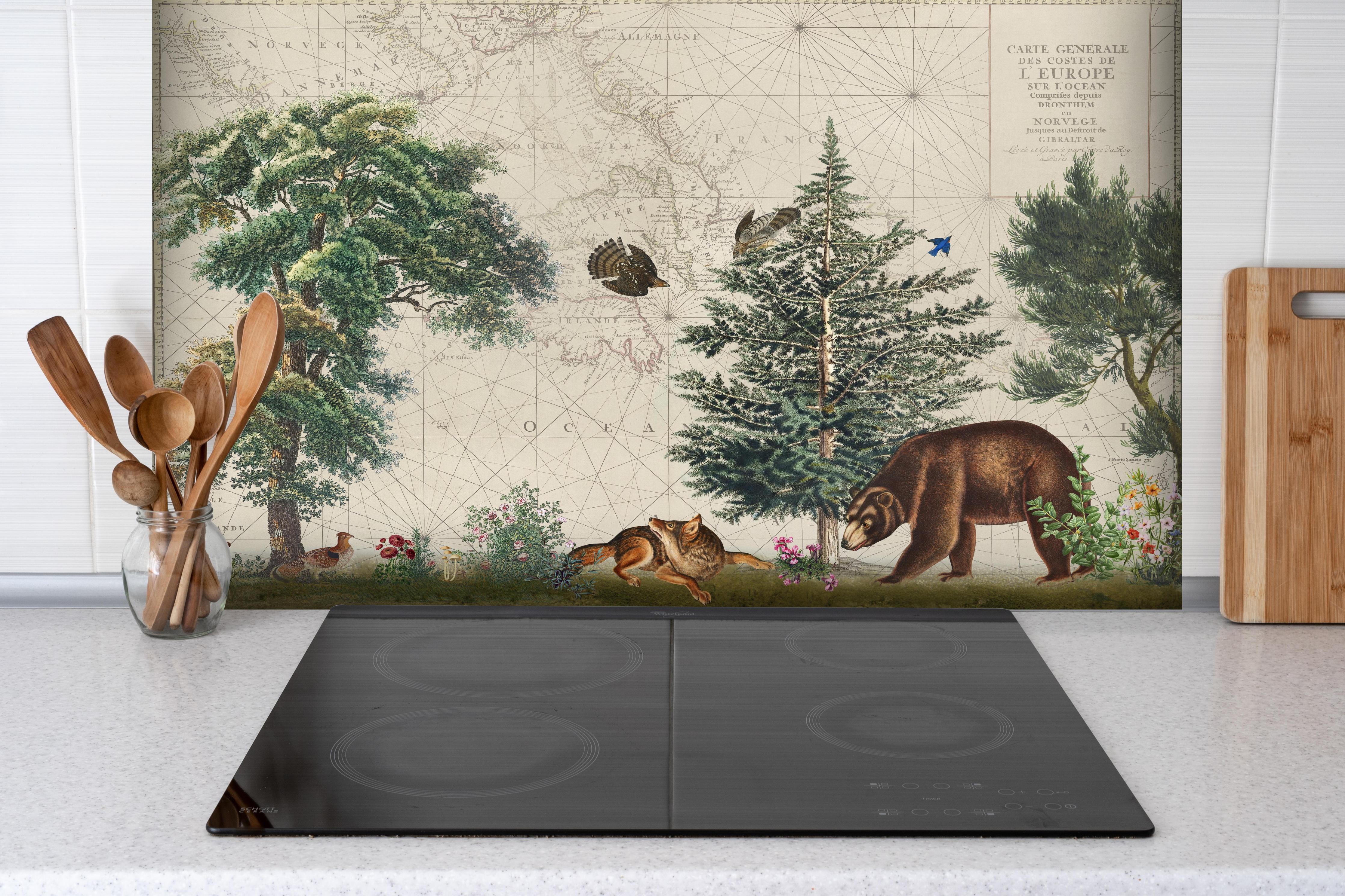 Spritzschutz - Weltkarte mit tropischem Wald hinter einem Cerankochfeld zwischen Holz-Kochutensilien