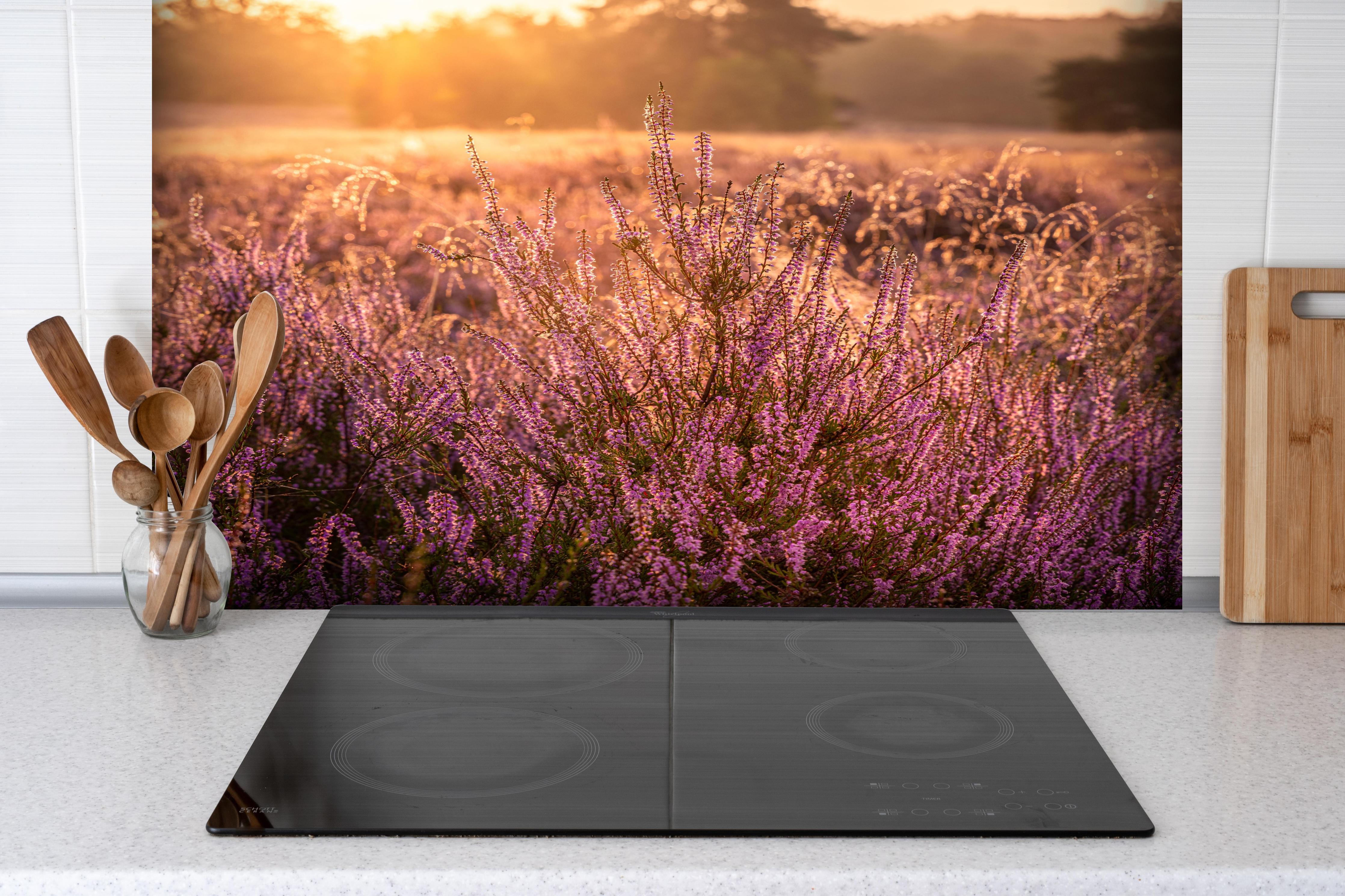 Spritzschutz - Westruper Heide bei Haltern im Münsterland hinter einem Cerankochfeld zwischen Holz-Kochutensilien