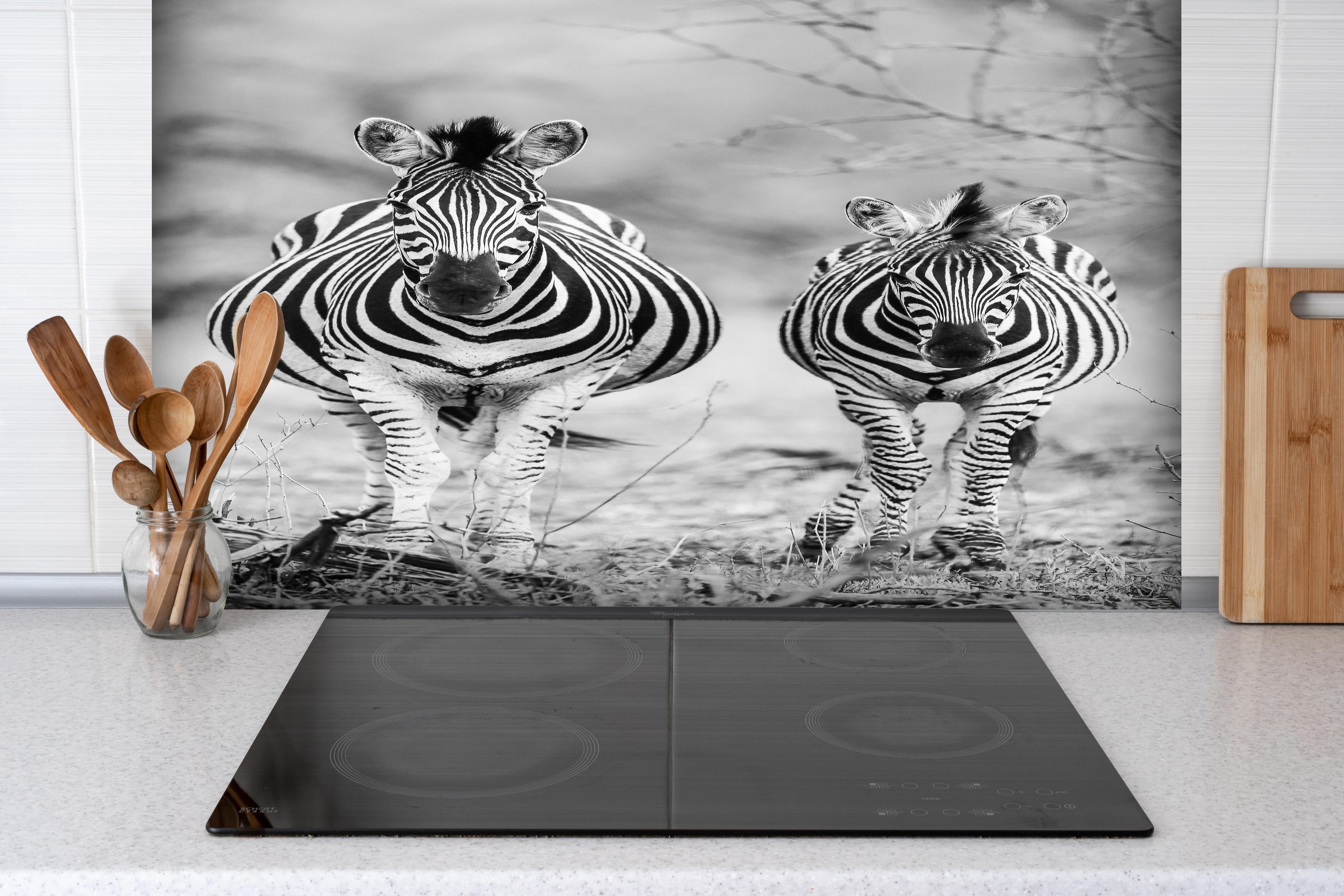 Spritzschutz - Zebrapaar in Schwarz-Weiß-Kontrast hinter einem Cerankochfeld zwischen Holz-Kochutensilien