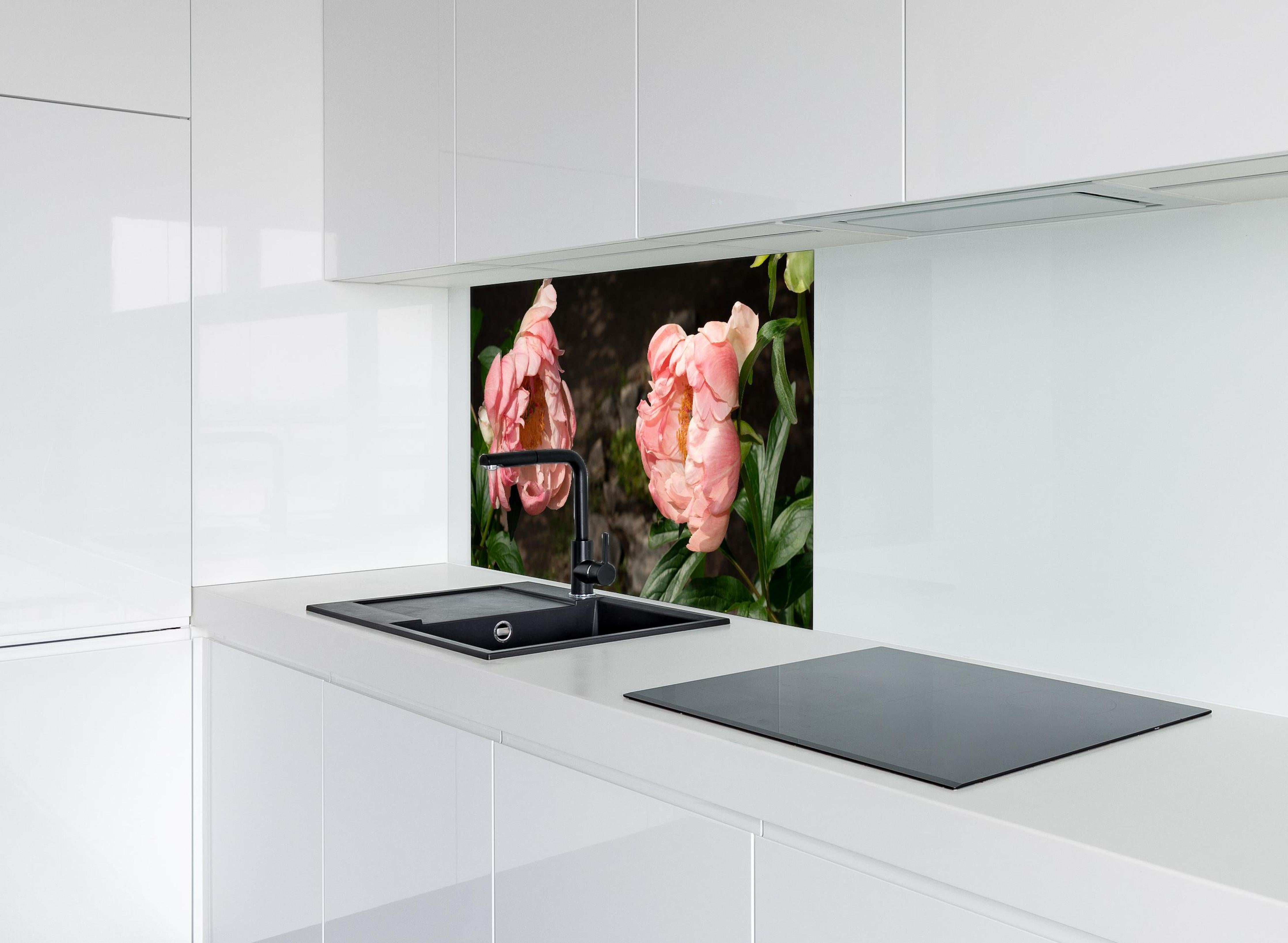 Spritzschutz - Zwei rosa Pfingstrosen in einem alten Garten. hinter einem Cerankochfeld zwischen Holz-Kochutensilien