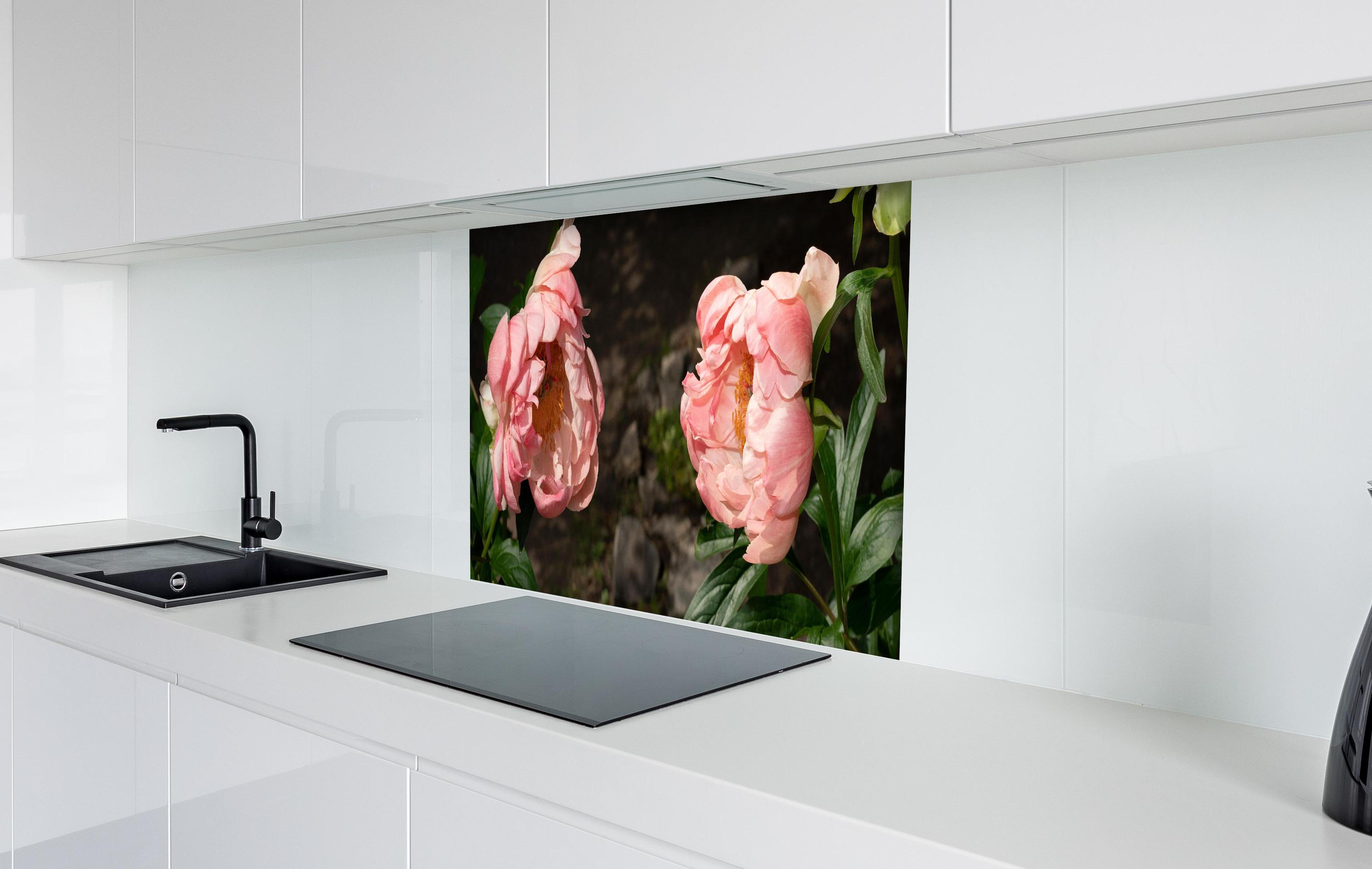 Spritzschutz - Zwei rosa Pfingstrosen in einem alten Garten. hinter einem Cerankochfeld zwischen Holz-Kochutensilien