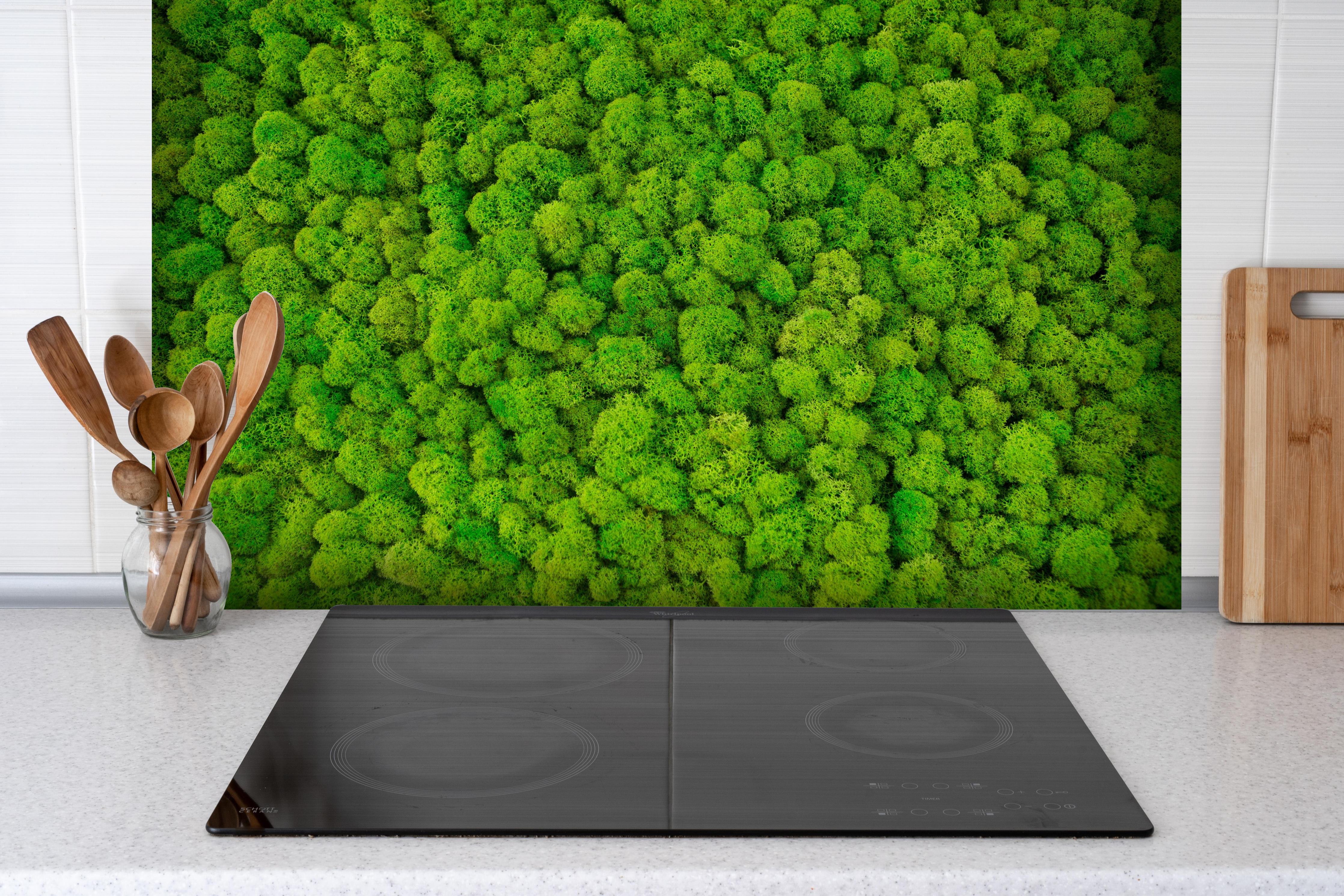 Spritzschutz - dekoratives Moos Design hinter einem Cerankochfeld zwischen Holz-Kochutensilien