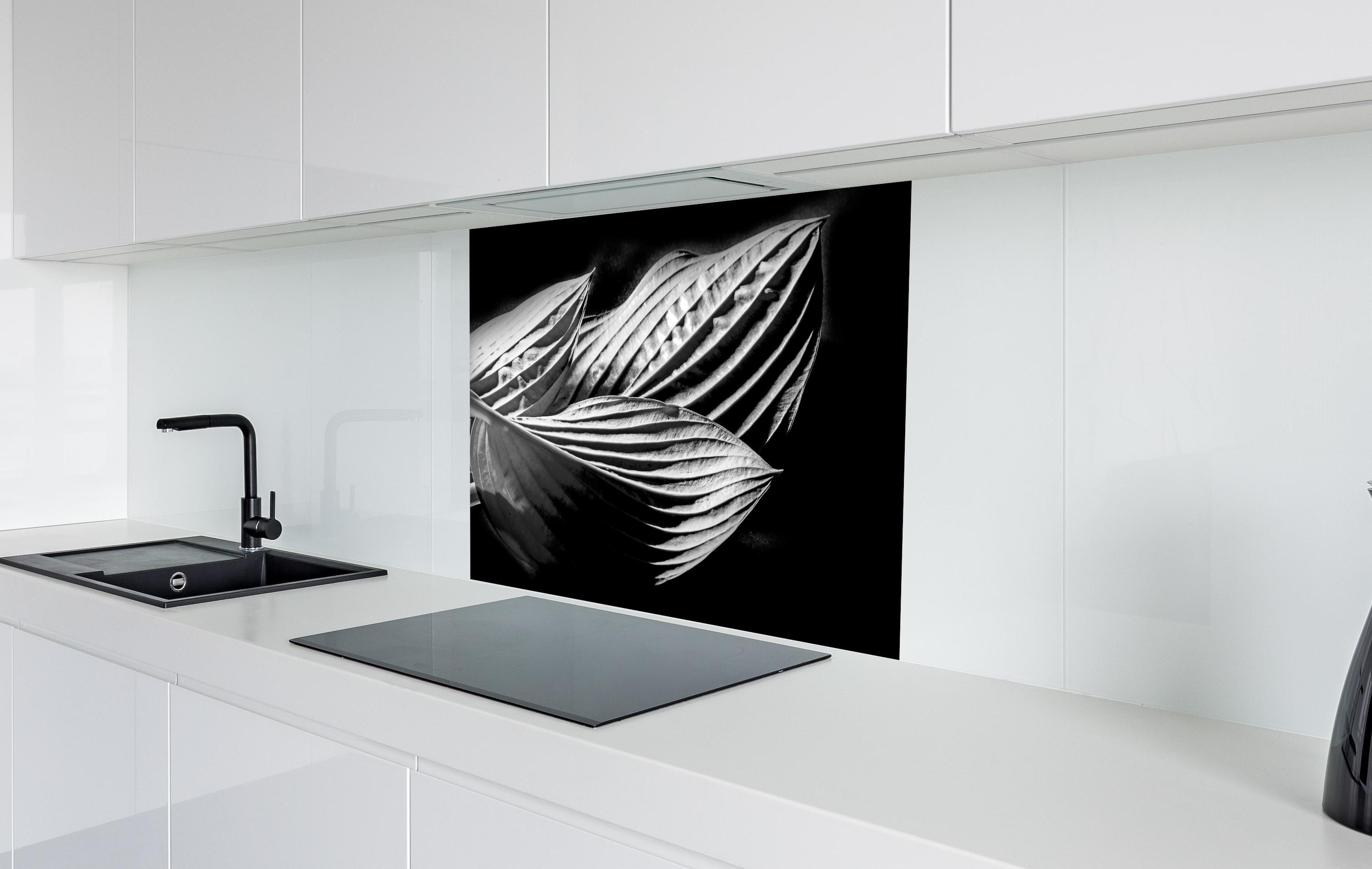 Spritzschutz - drei Blätter auf dunklem Hintergrund hinter einem Cerankochfeld zwischen Holz-Kochutensilien