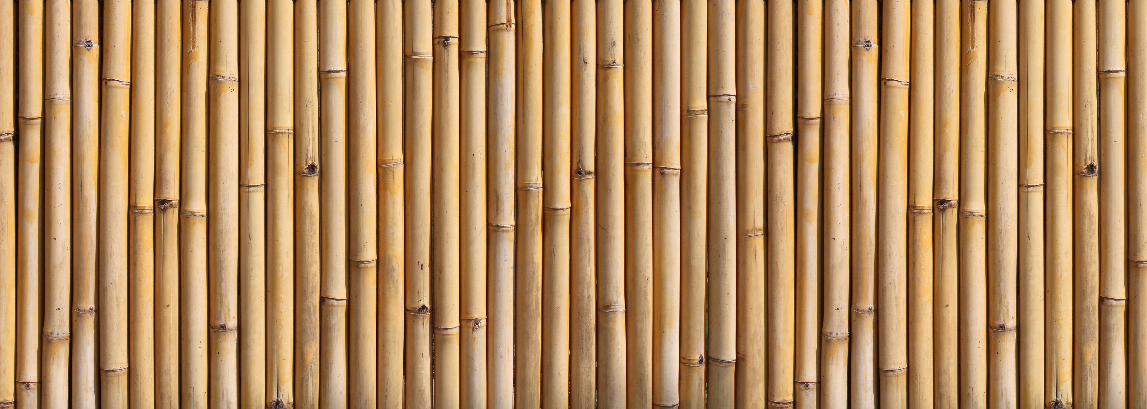 WC-Rückwand-Bambus Holzoptik Wandverkleidung