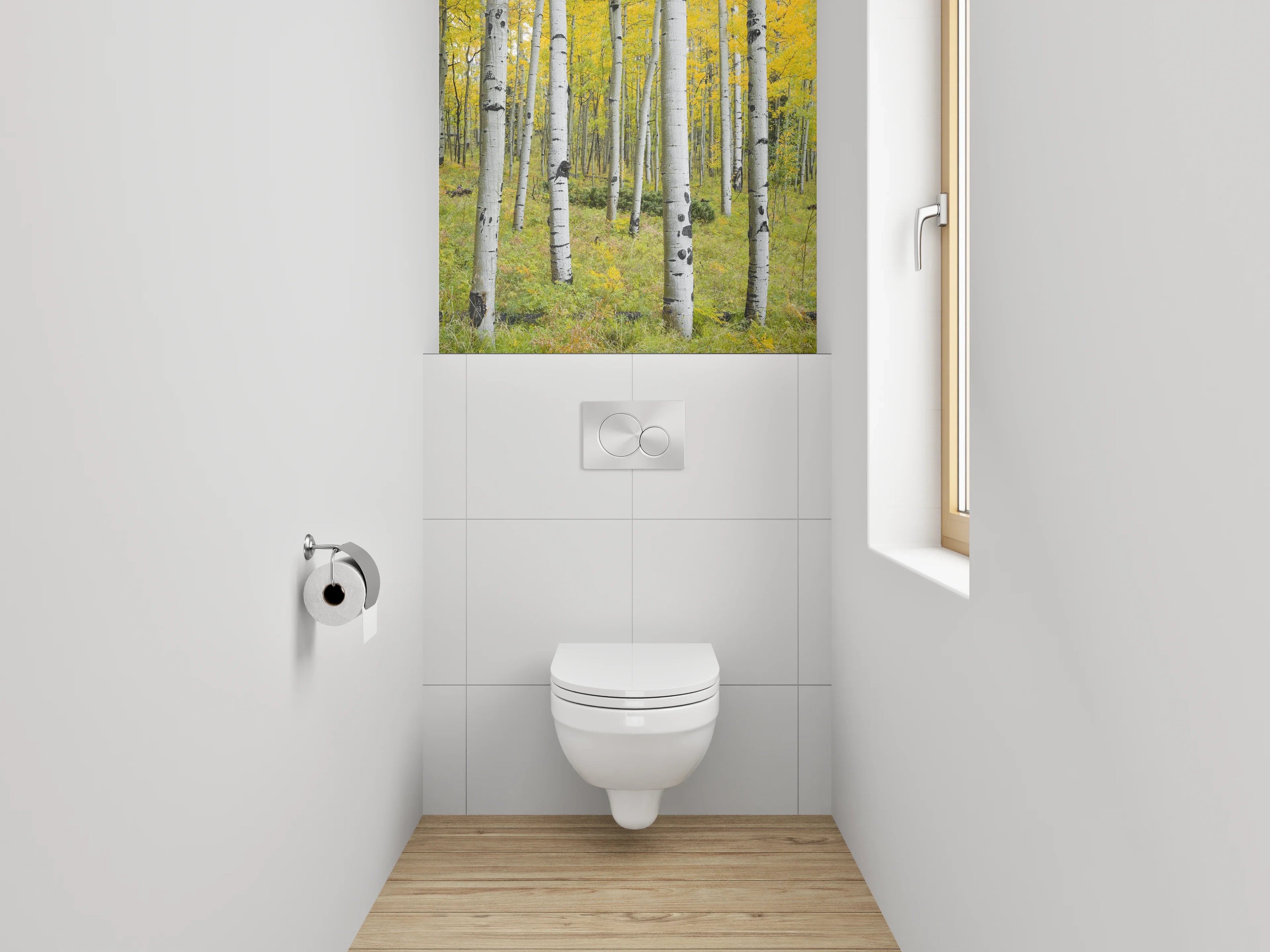 WC-Rückwand - Birkenwald Panorama Frühjahr