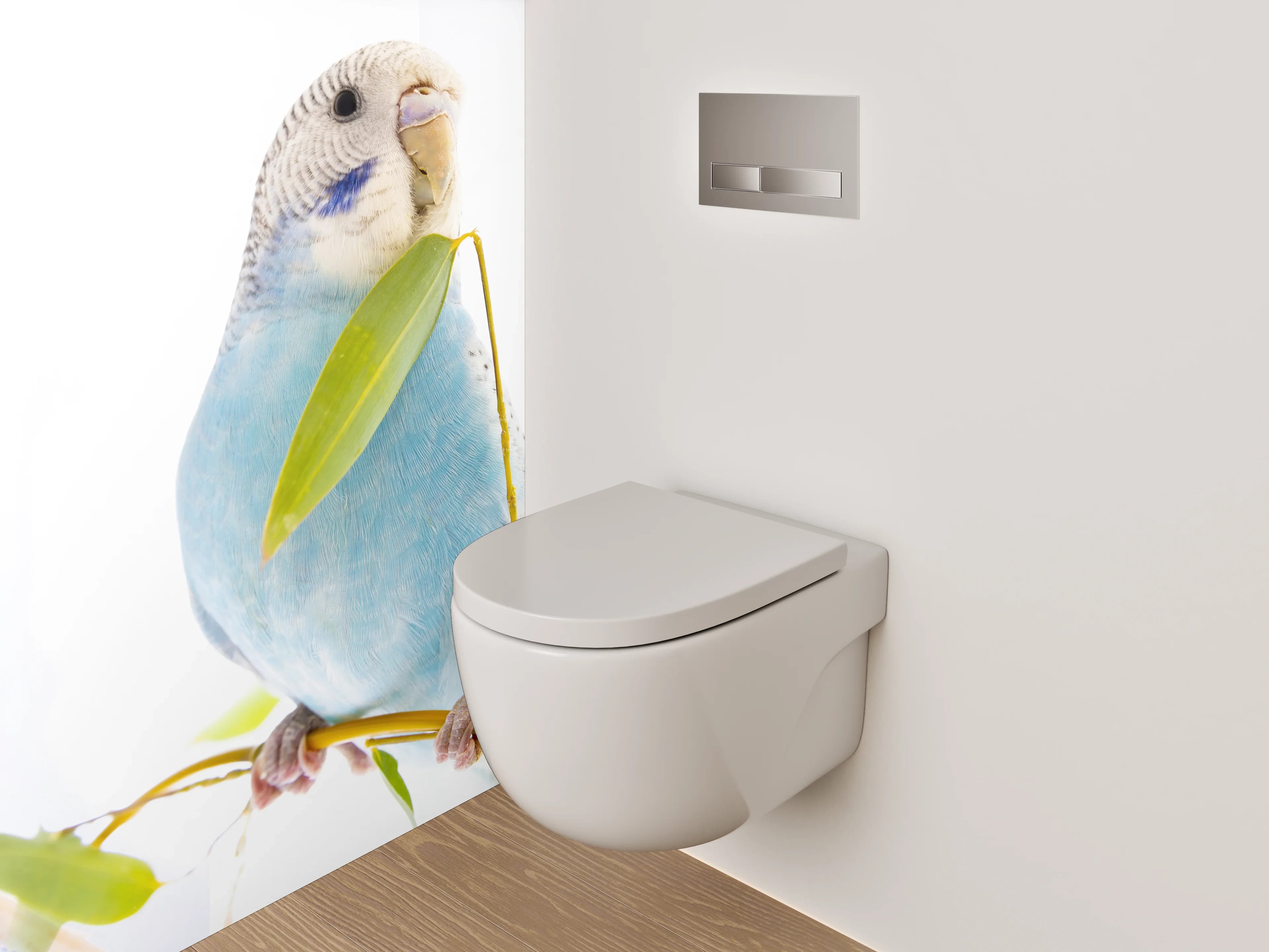 WC-Rückwand - Blaue Wellensittiche auf Ast