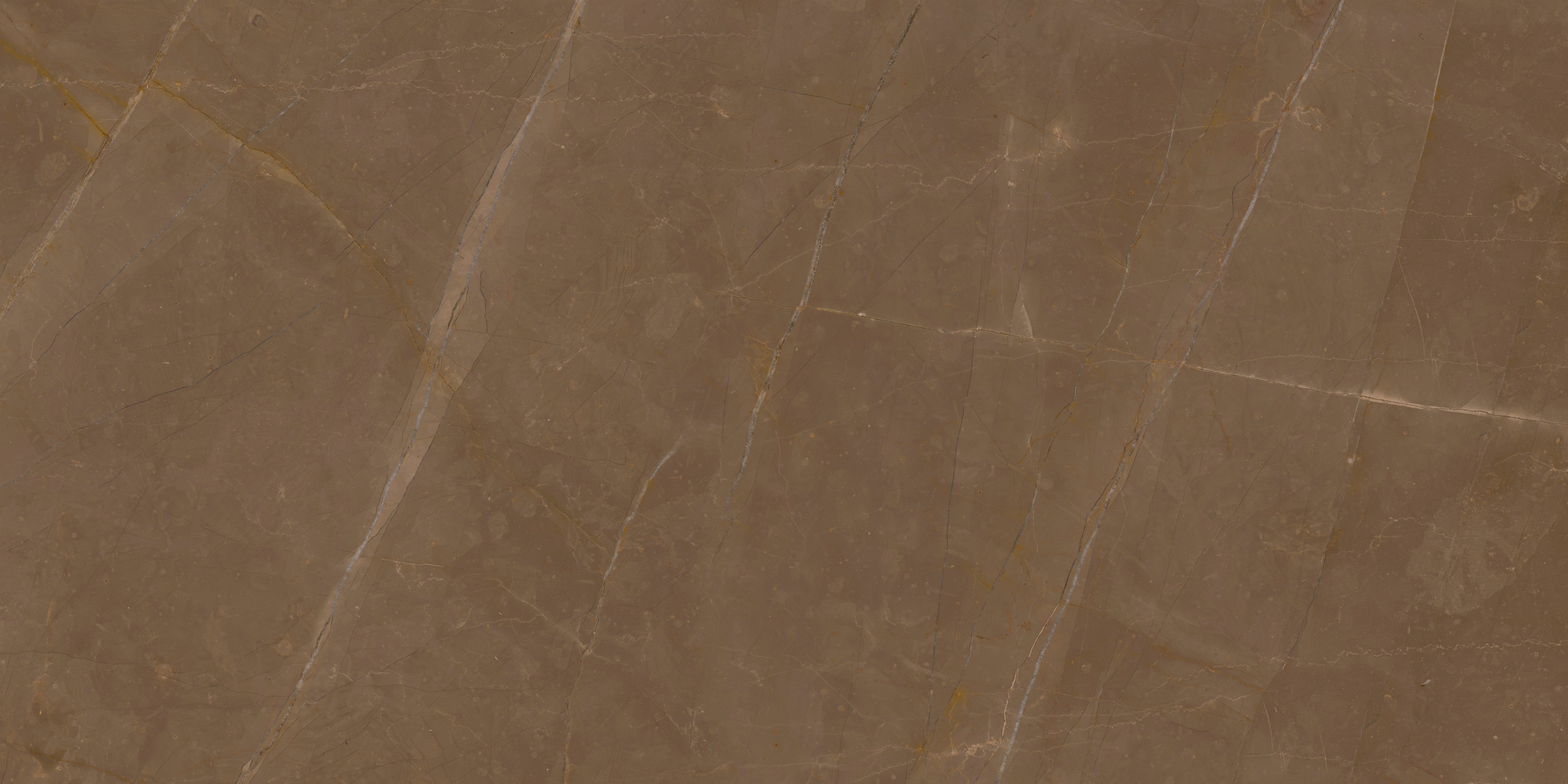 WC-Rückwand-Brauner Marmor mit natürlicher Maserung