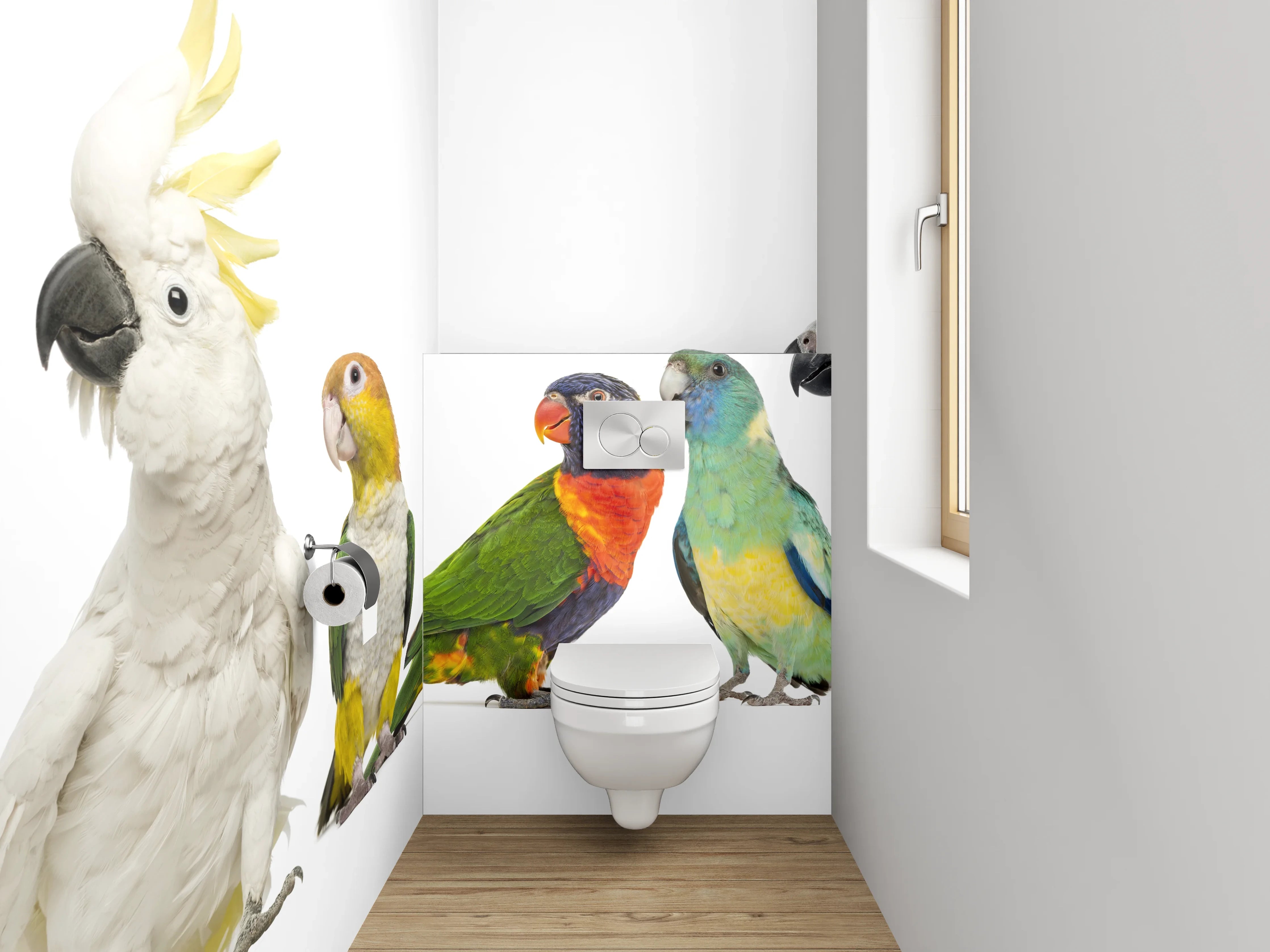 WC-Rückwand - Bunte Papageien-Vielfalt
