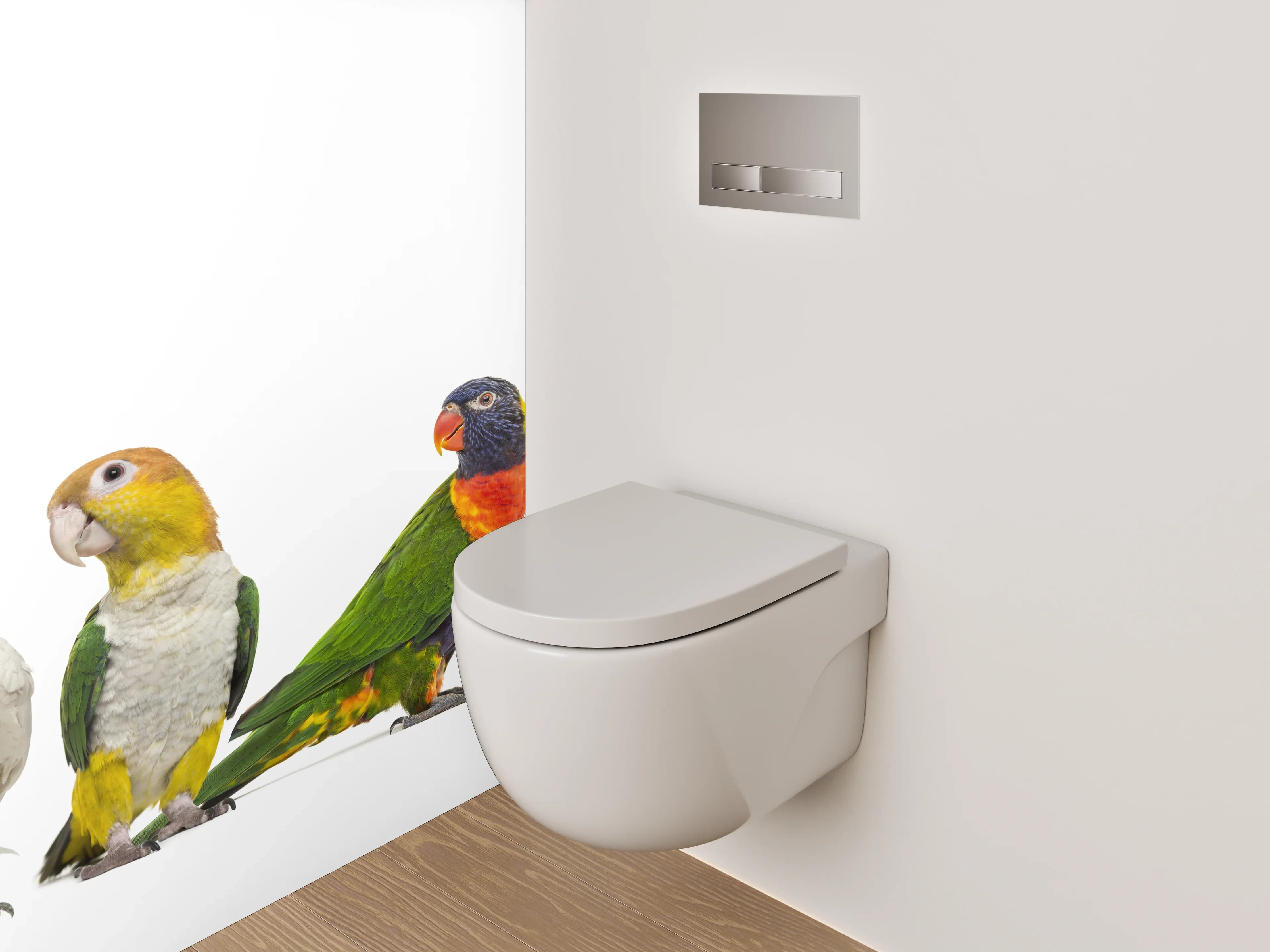 WC-Rückwand - Bunte Papageien-Vielfalt