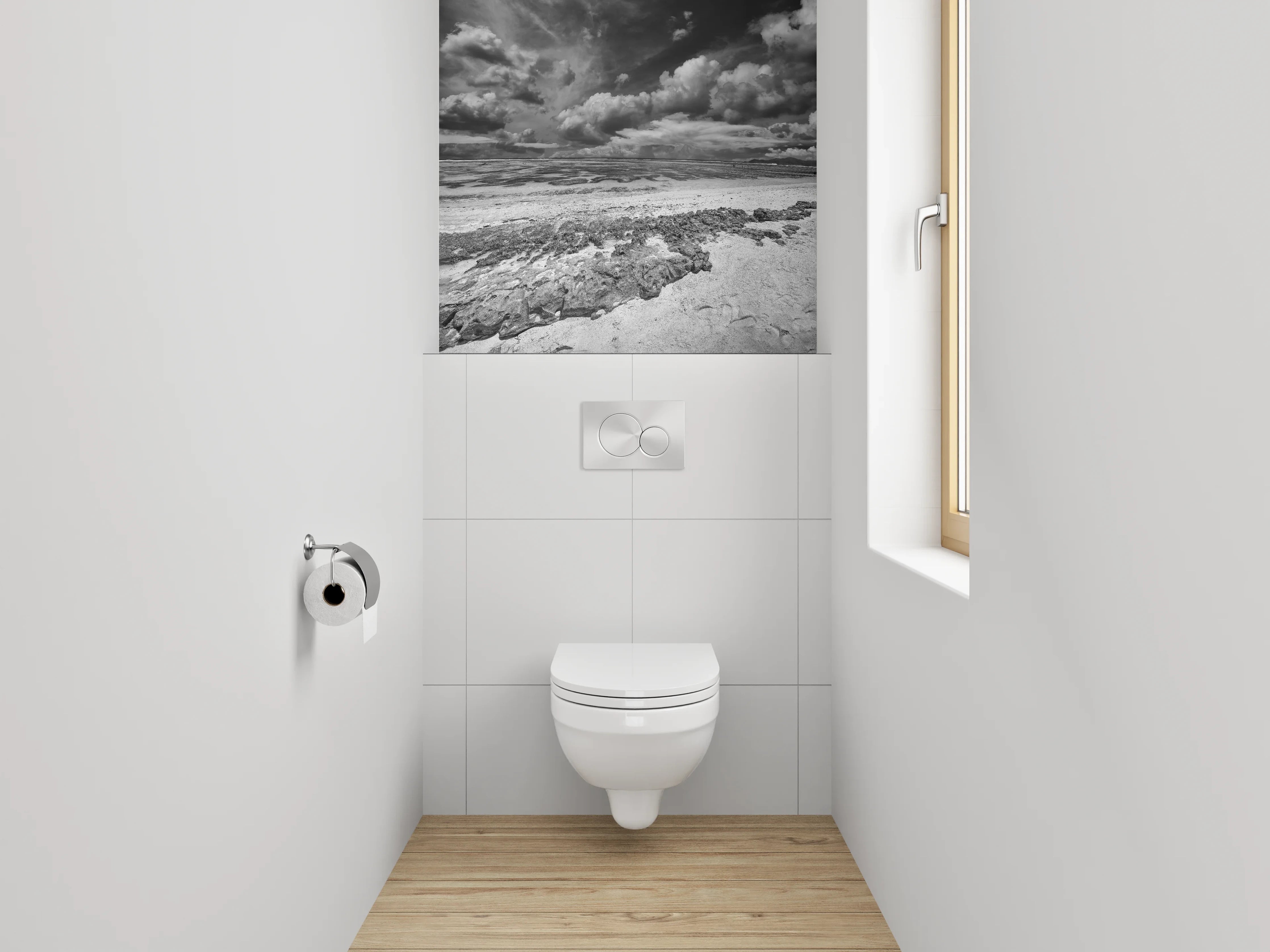 WC-Rückwand - Dramatische Schwarz-Weiß Küstenlandschaft