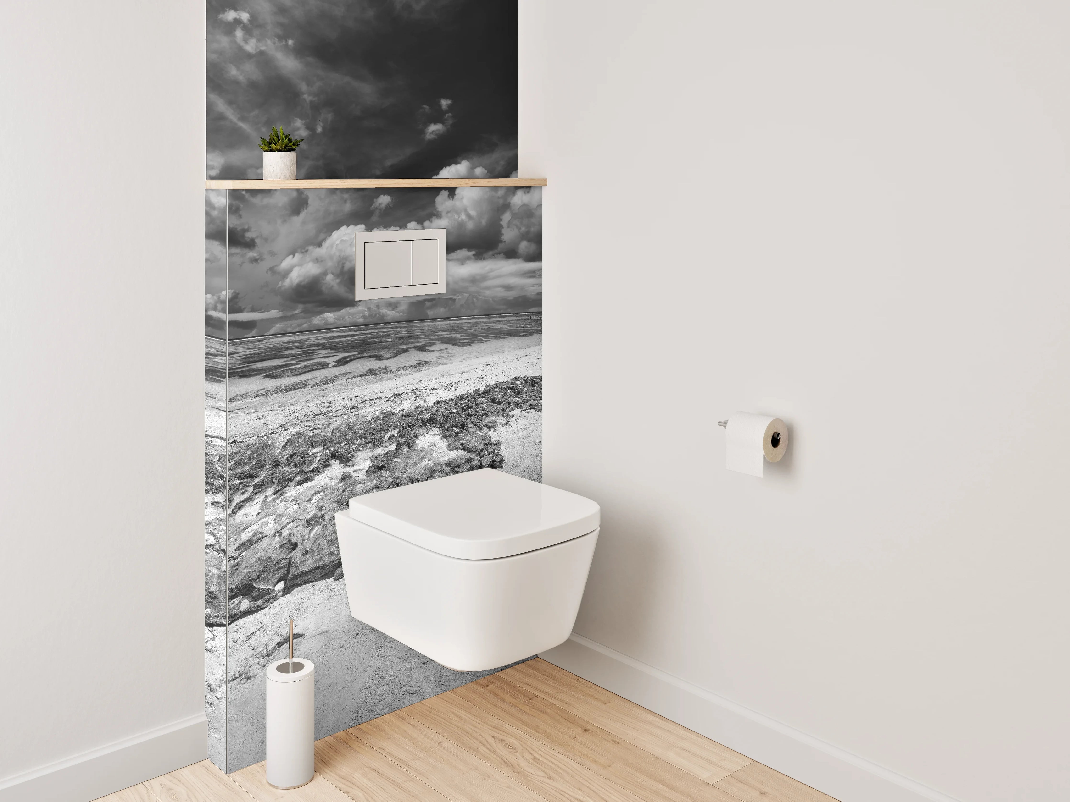 WC-Rückwand - Dramatische Schwarz-Weiß Küstenlandschaft