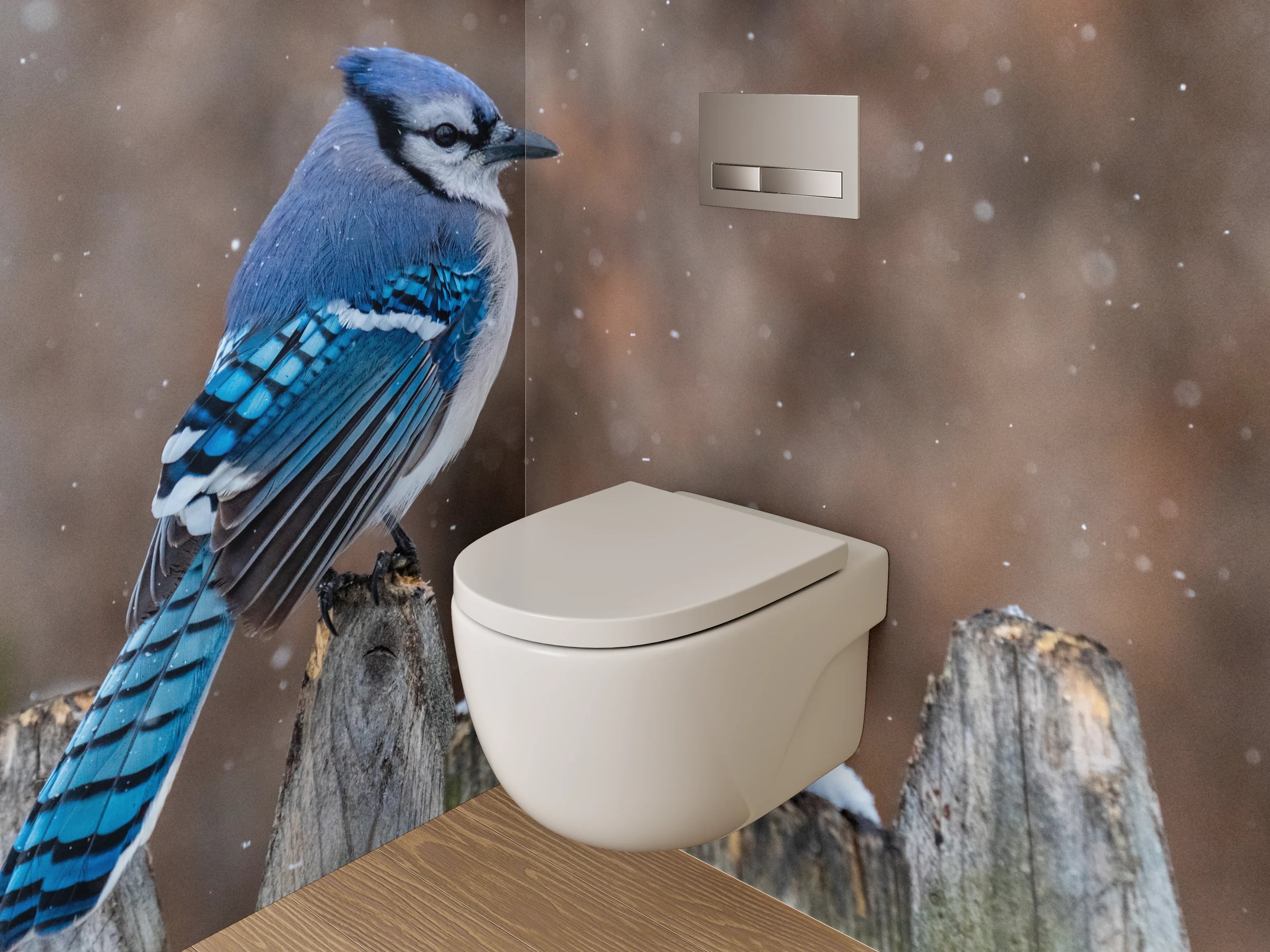 WC-Rückwand - Eichelhäher im Schnee – Wintervogel