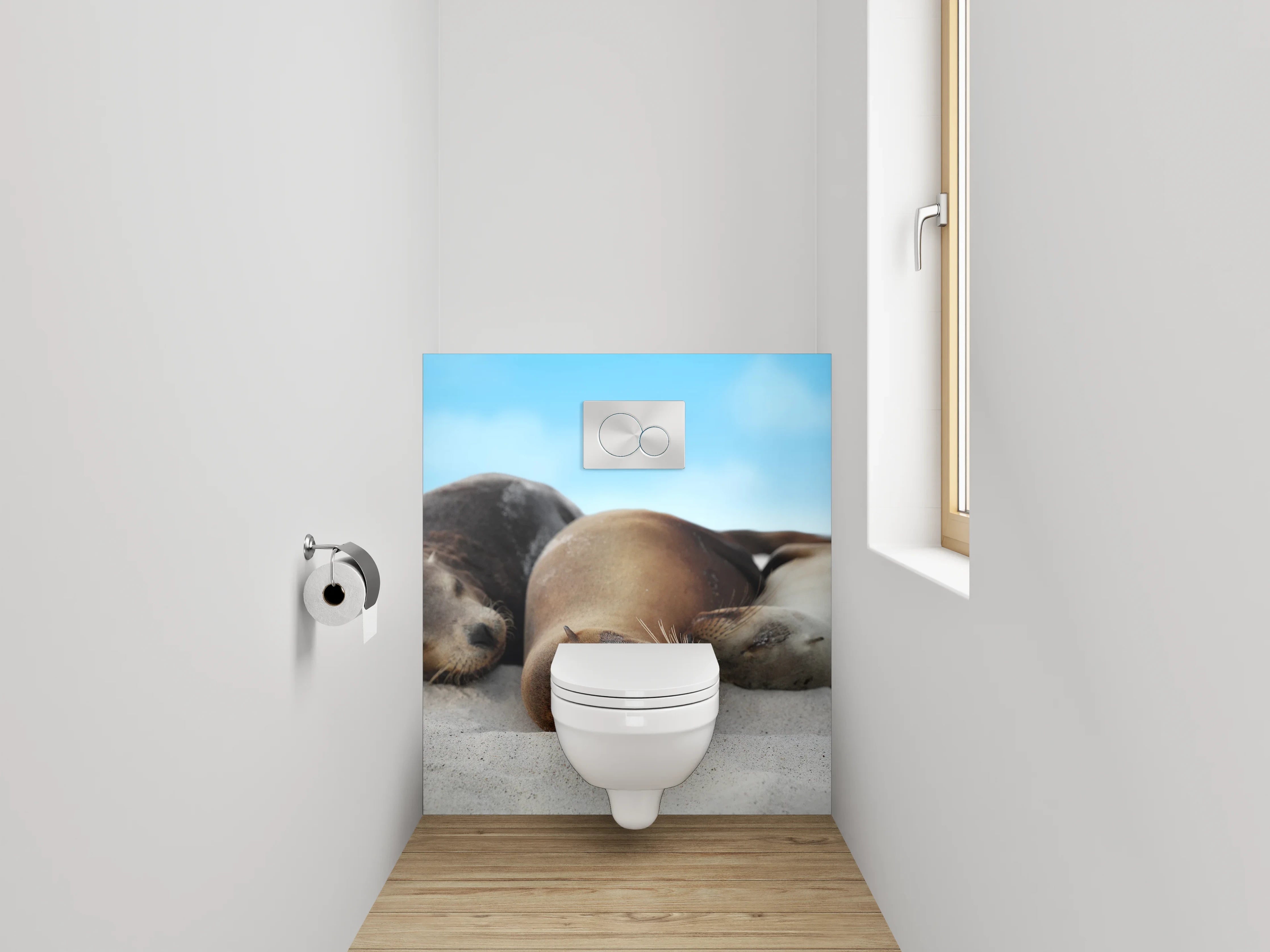 WC-Rückwand - Entspannte Seelöwen am Sandstrand