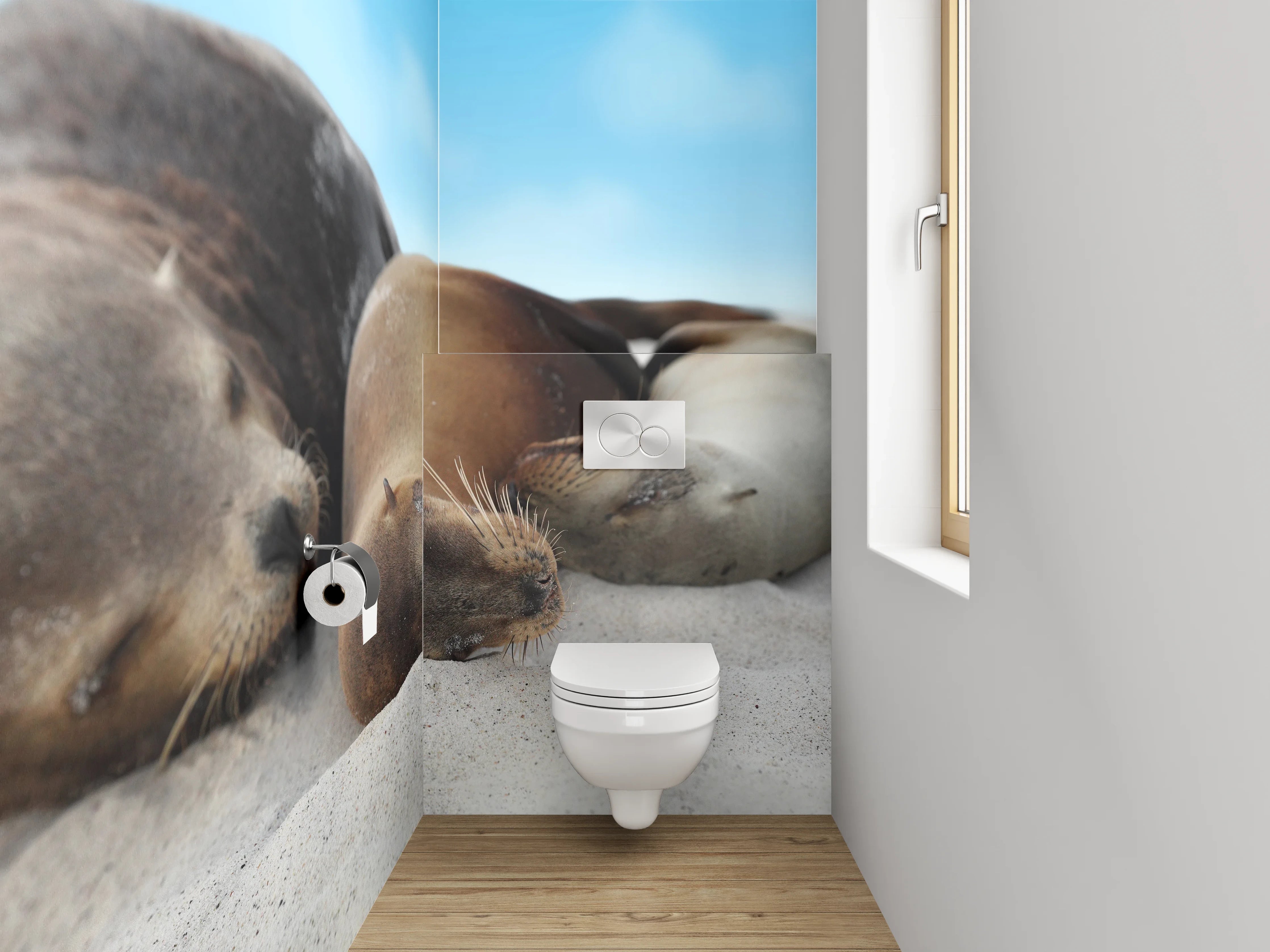 WC-Rückwand - Entspannte Seelöwen am Sandstrand