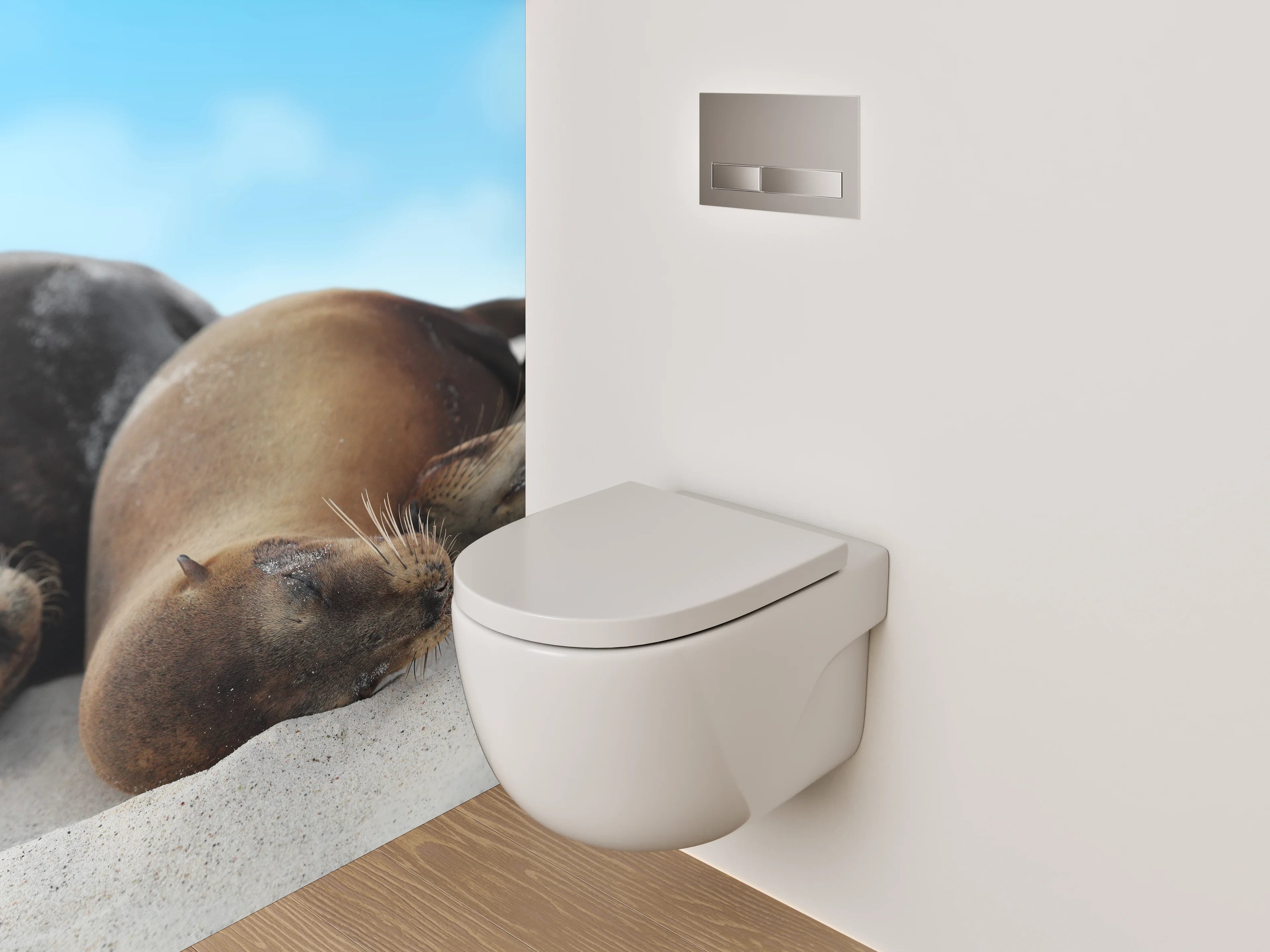 WC-Rückwand - Entspannte Seelöwen am Sandstrand