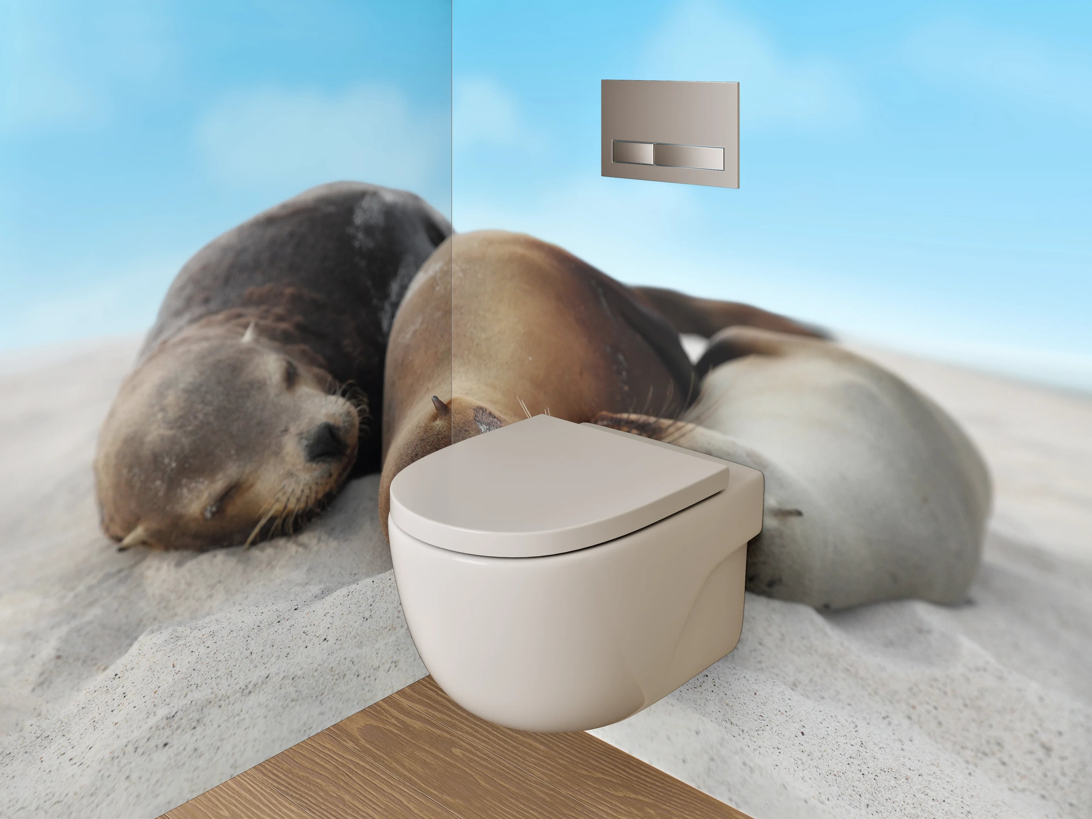 WC-Rückwand - Entspannte Seelöwen am Sandstrand